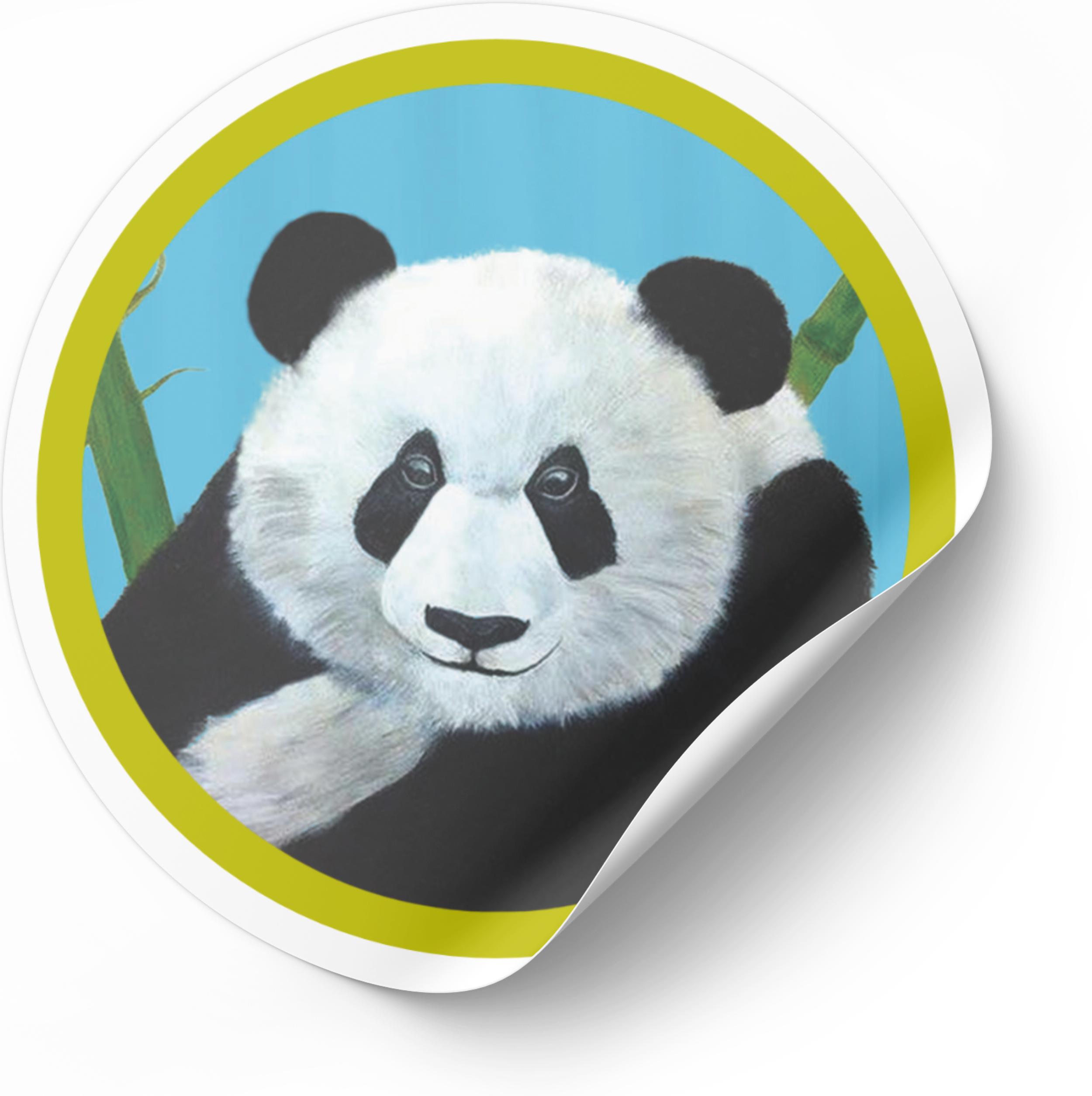 Panda | 3" Animal Art Vinyl Sticker | Amy Lee Designs