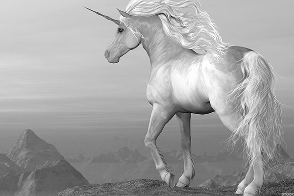 The Pastoral Unicorn - 30 Years of Pastoral Consistency