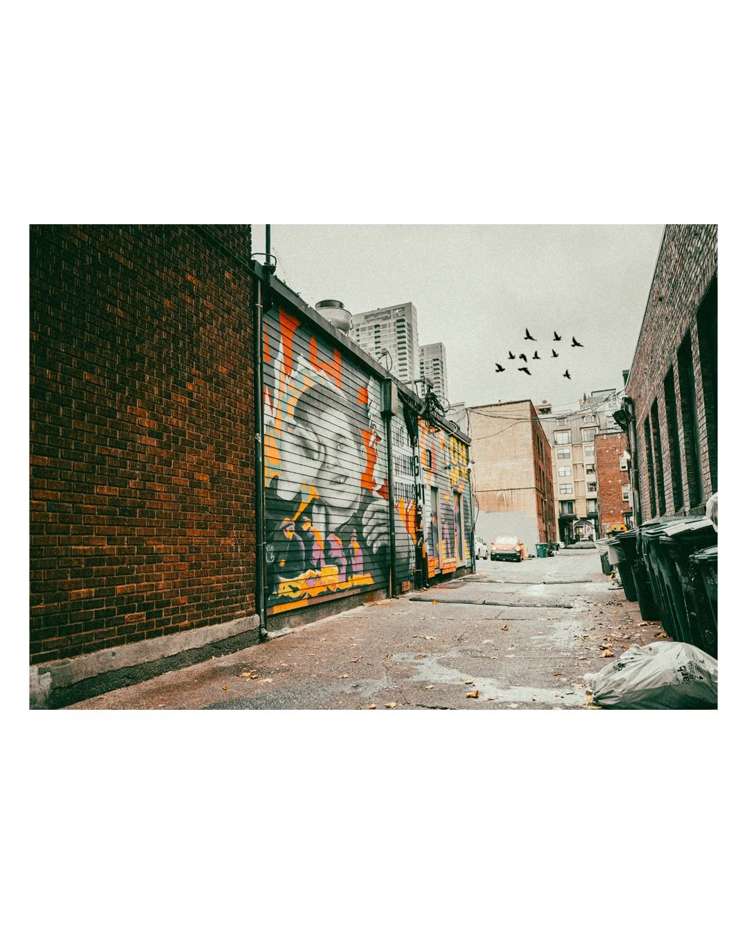 seattle-alley.jpg
