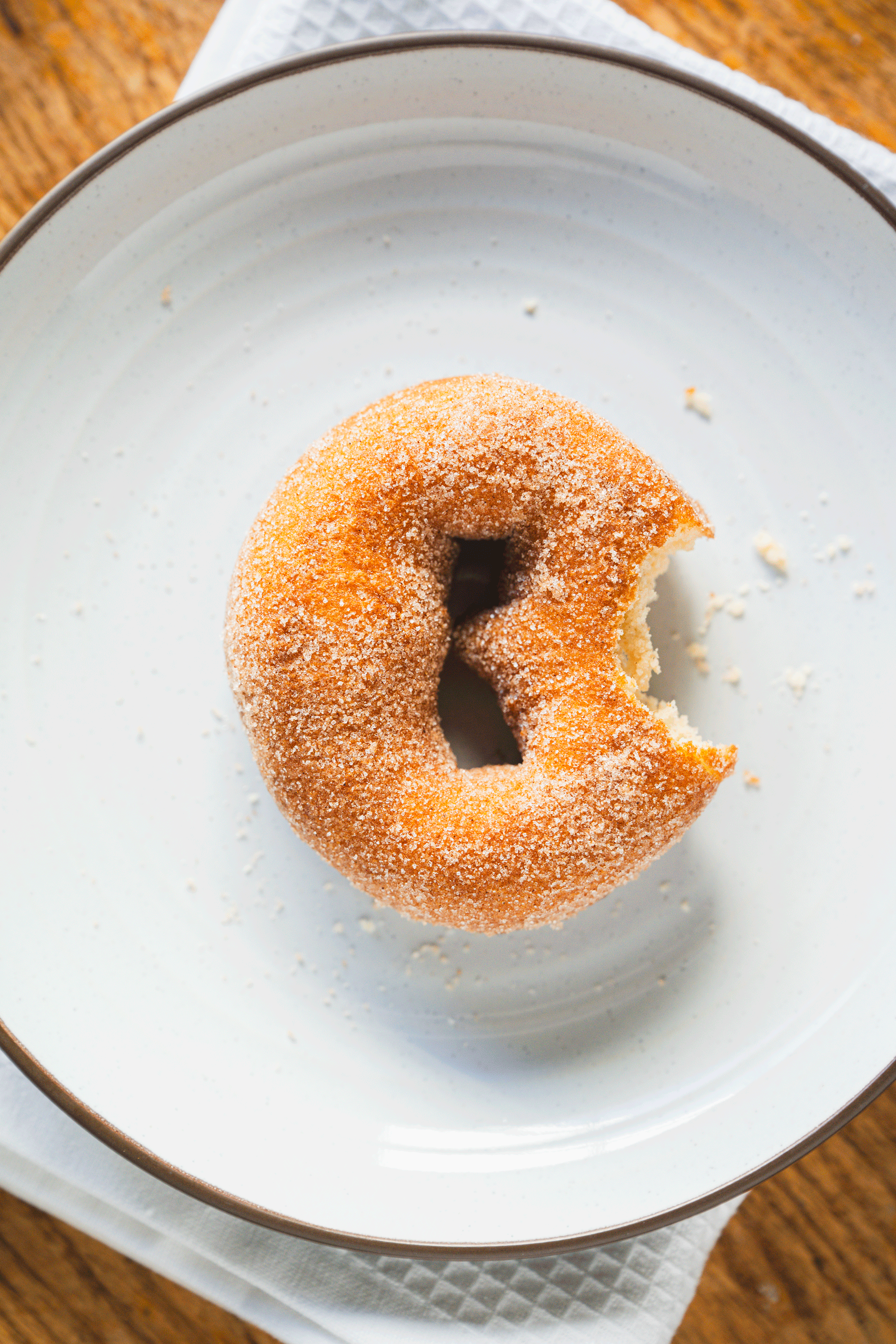 donut-gif.gif