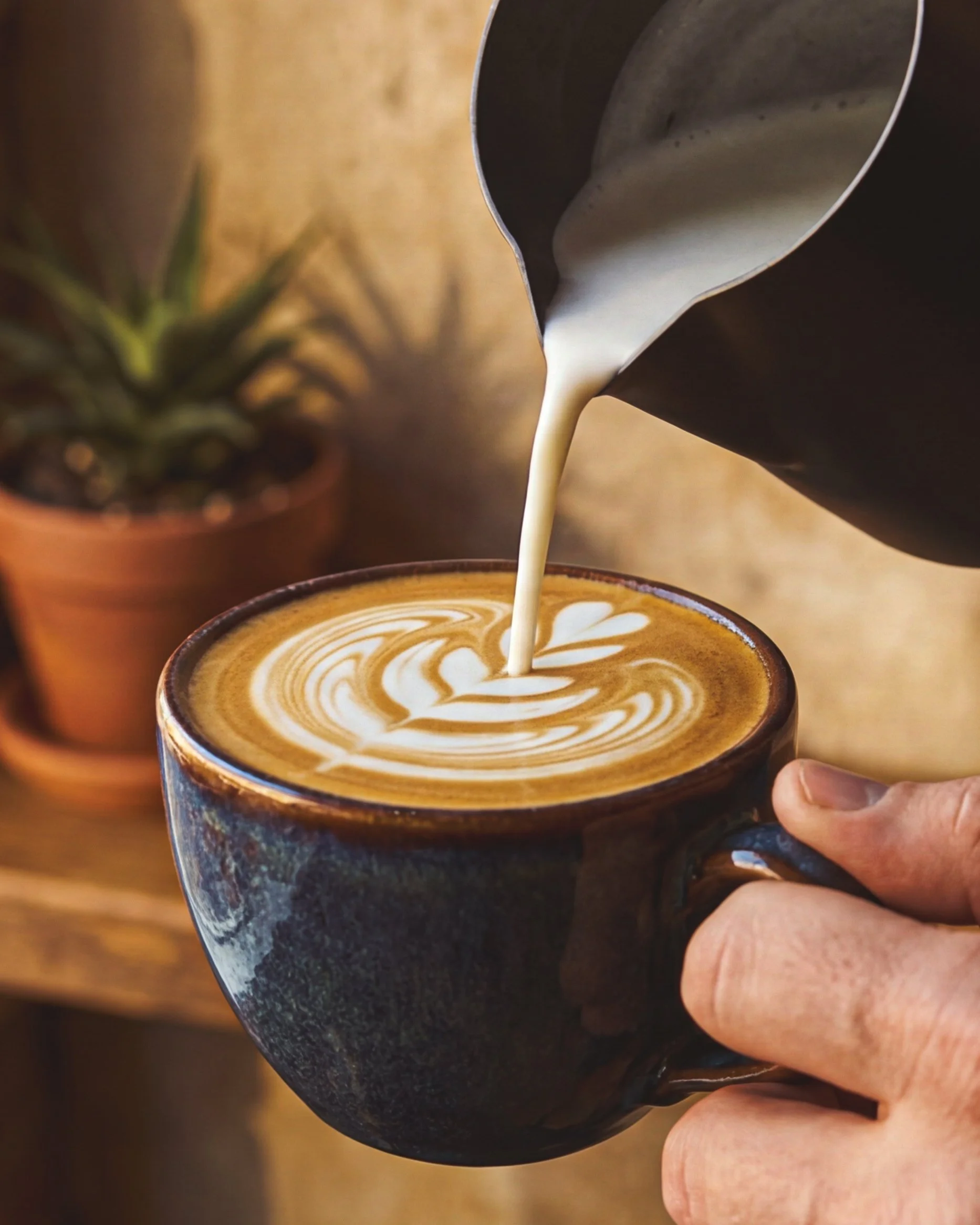 A person is pouring steamed milk into a cup of coffee, creating latte art with a fern design.