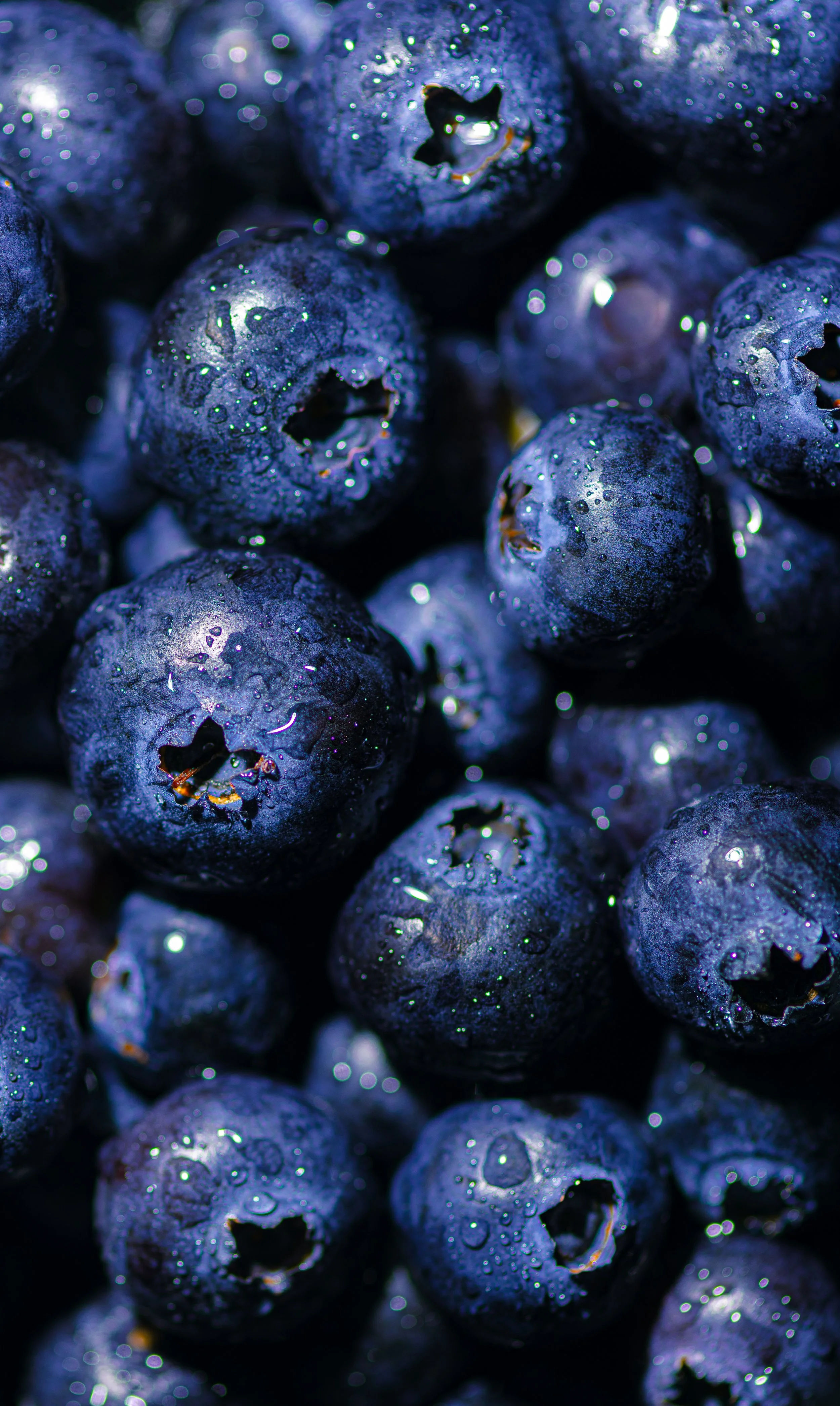 Close-up image of fresh blueberries with water droplets on their surface.