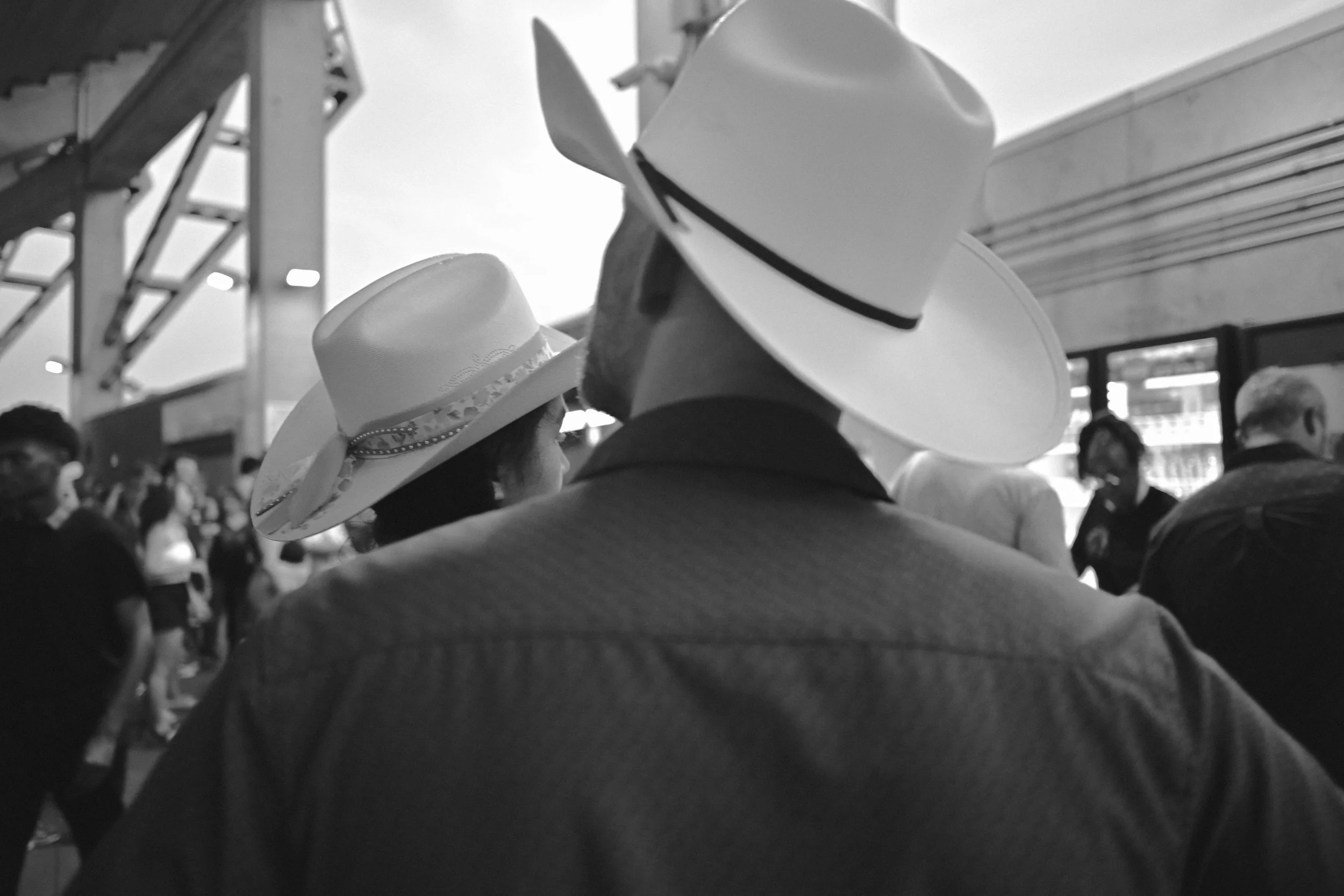rodeo-.jpg
