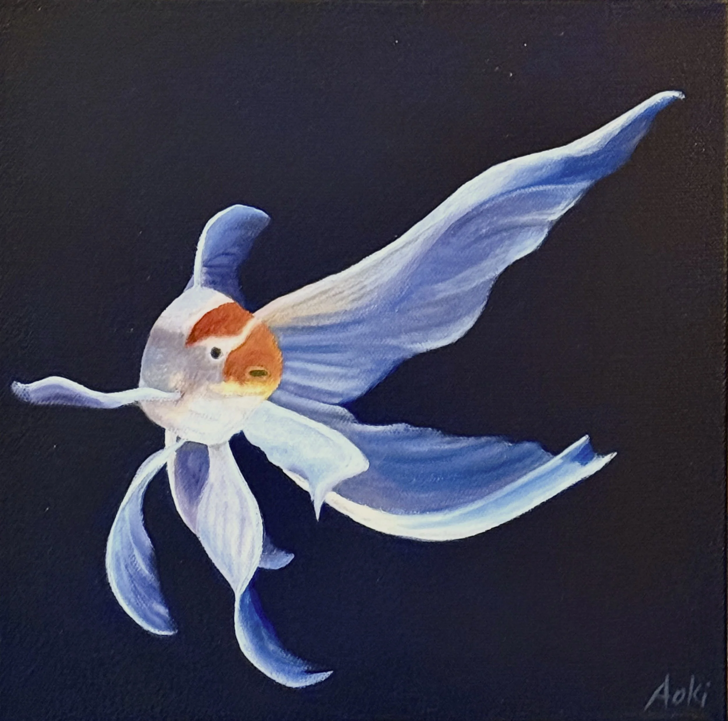 Koi
