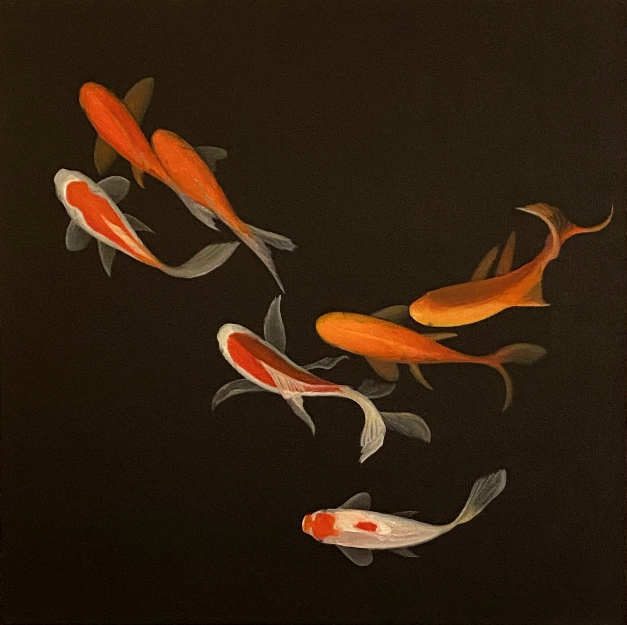 Koi Flow 24x24. bwtter image? copy.jpg