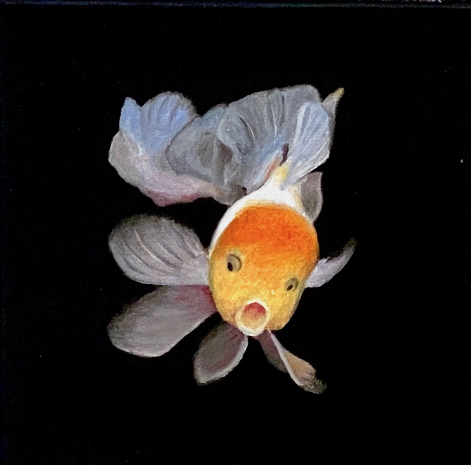 Baby Koi. 8x8 $195   copy.jpg