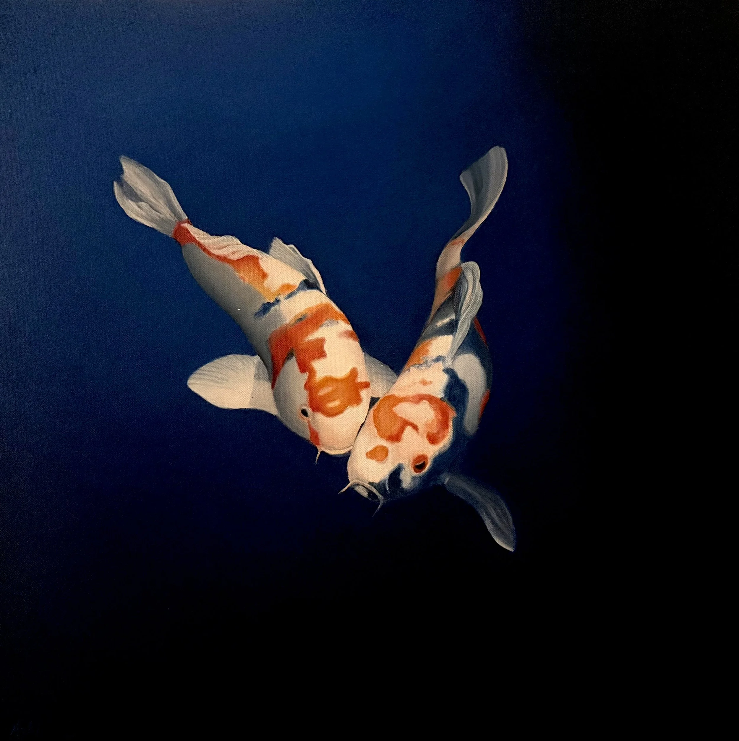 Koi Oil on Canvas $800