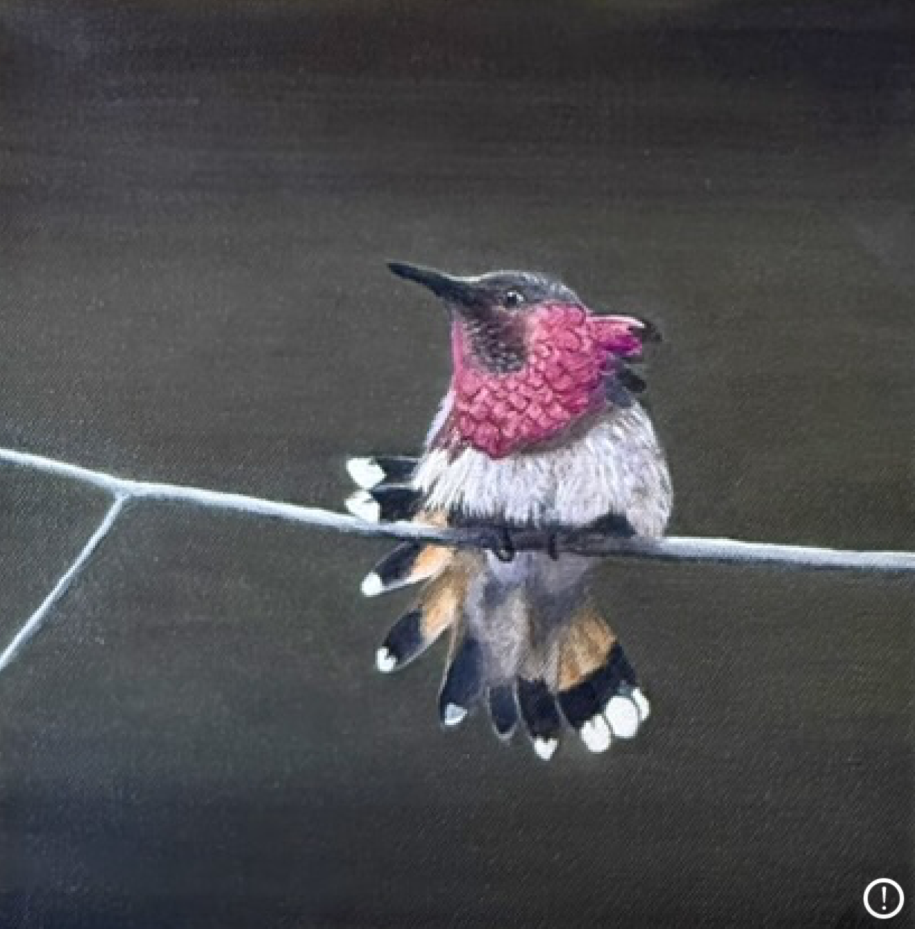 Hummingbird