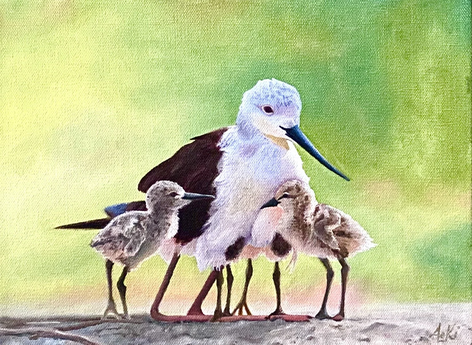 Birds