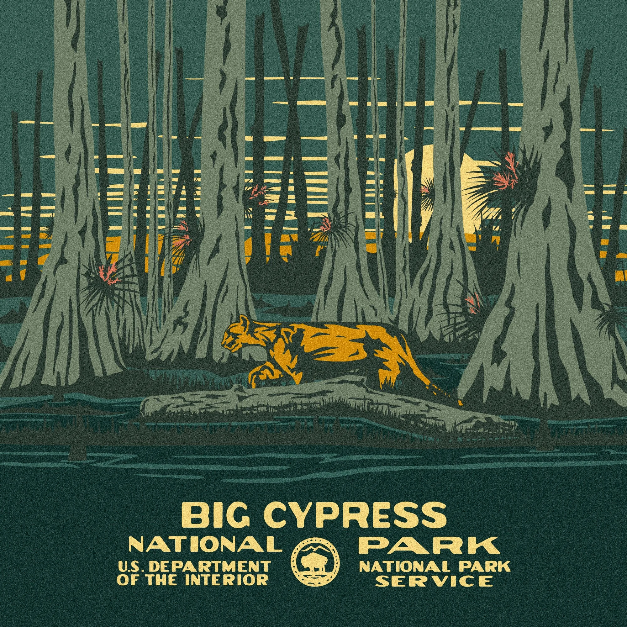Illustration of a tiger walking through a dense cypress swamp at sunset, with tall cypress trees and Spanish moss, promoting Big Cypress National Park.