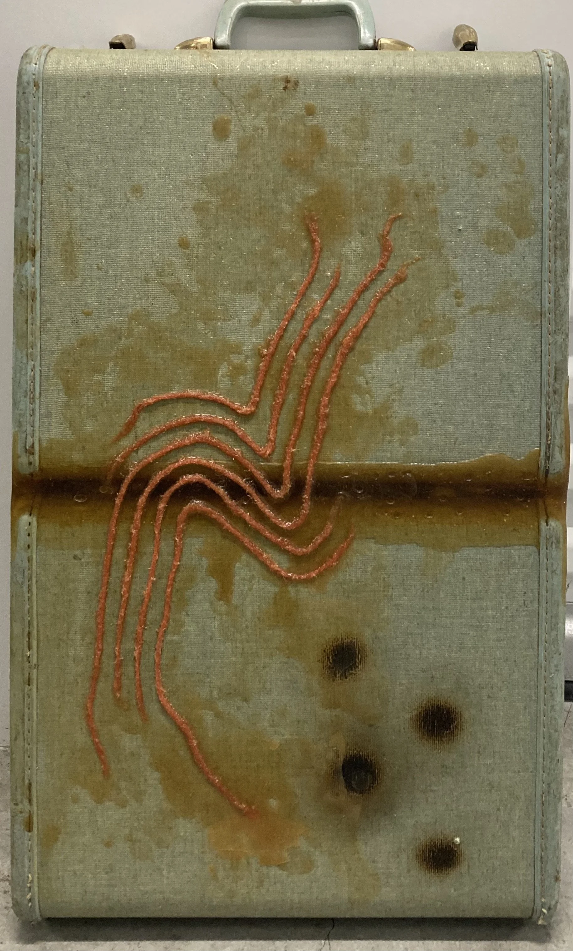 untitled (small blue travel case)