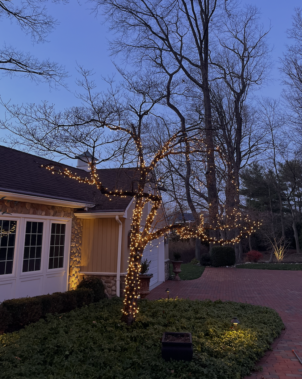 Screenshot 2025-12-11 at 6.49.26 PM.png