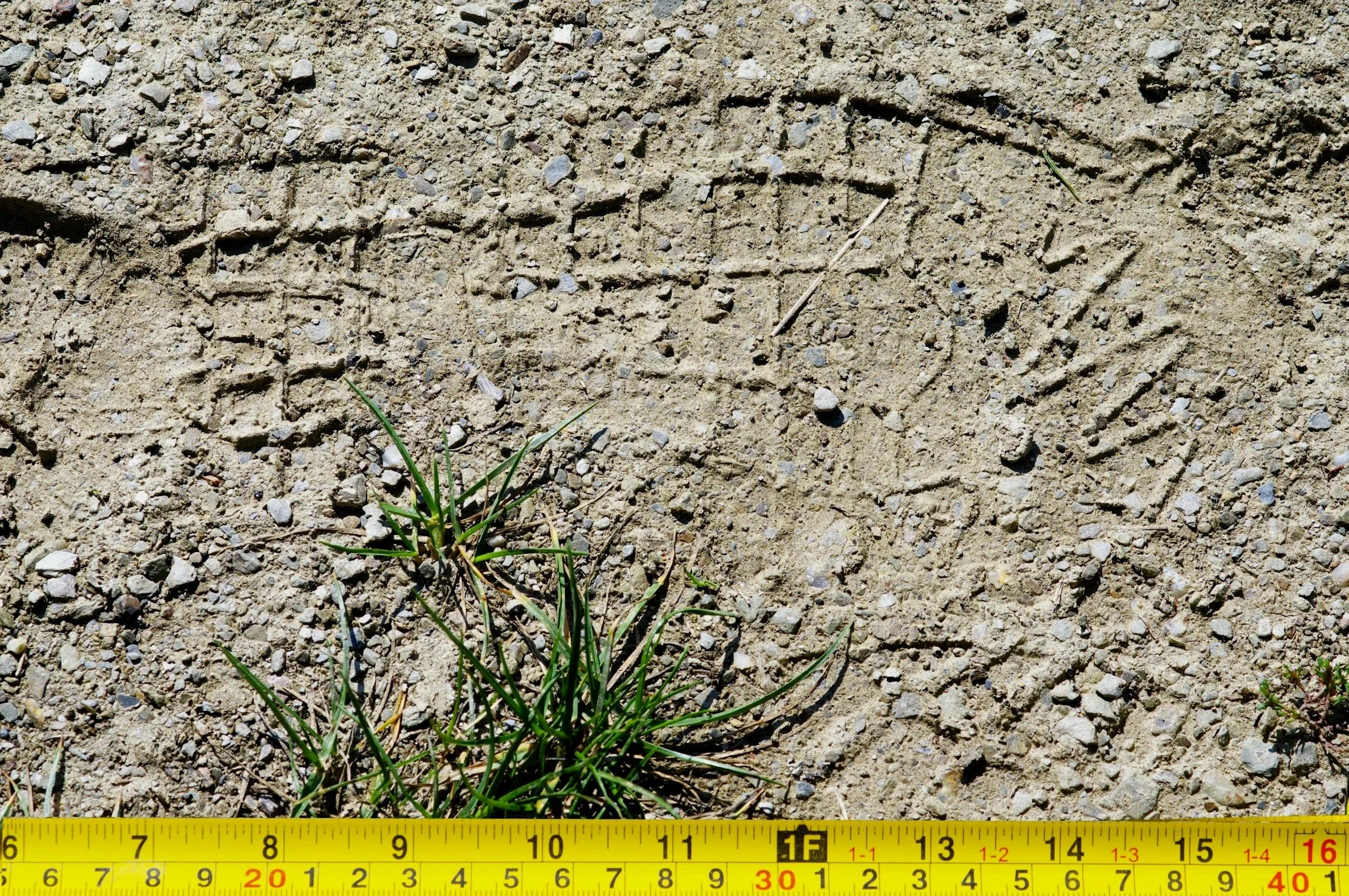 Zavest Forensic & Expert Services