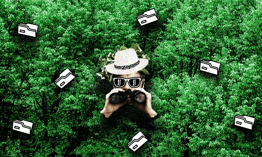 what do background checks actually check