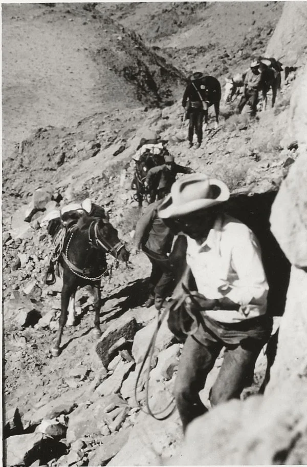 Scaling Domínguez Canyon, Arizona. November 1976.