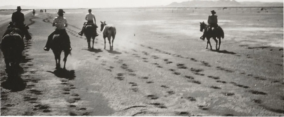 Hoofprints in the sand next to the Great Salt Lake, Black Rock, UT. October 10, 1976.
