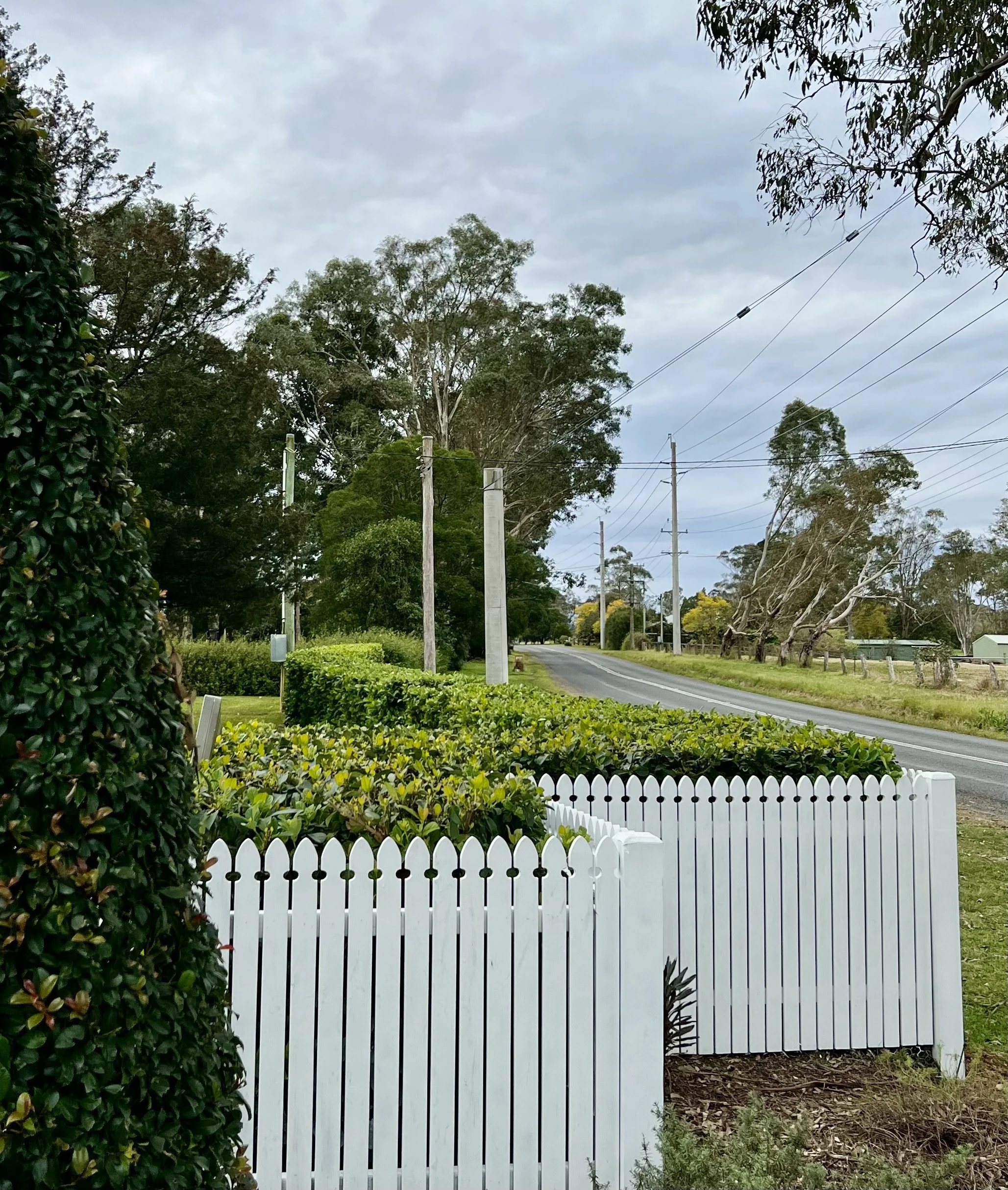 A rural street view with a white picket fence, green bushes, trees, power lines, and a cloudy sky.