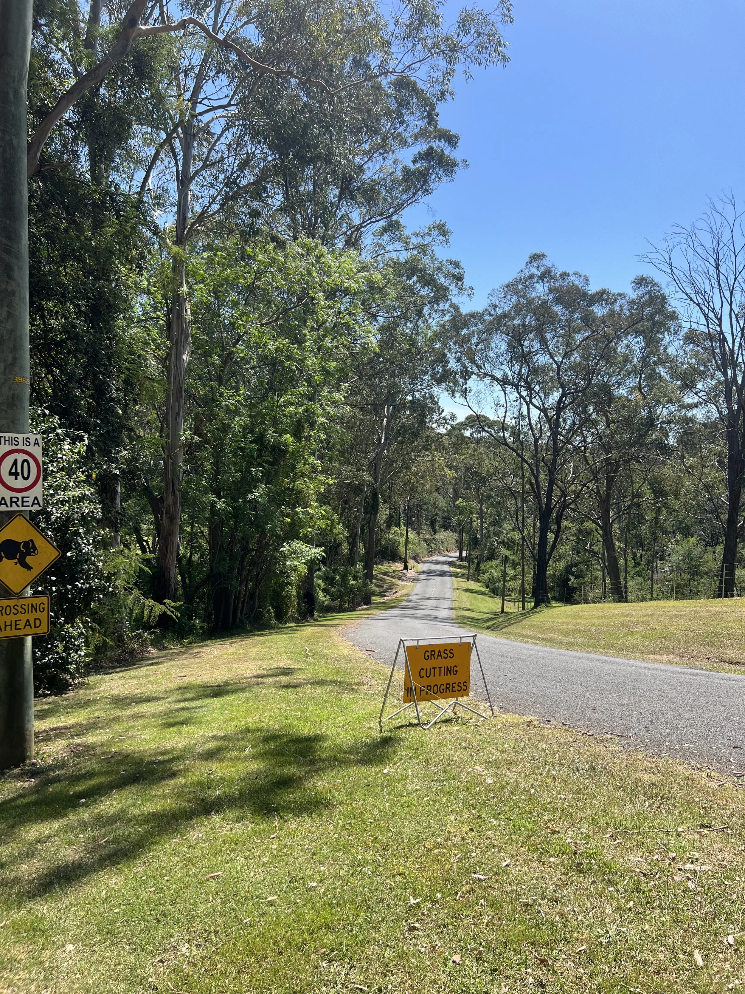 A rural road with a grassy shoulder, trees, and a clear blue sky. A yellow sign on the grass states 'Grass Cutting In Progress' and a pole with traffic signs indicates a 40 km/h speed limit and a kangaroo crossing zone.
