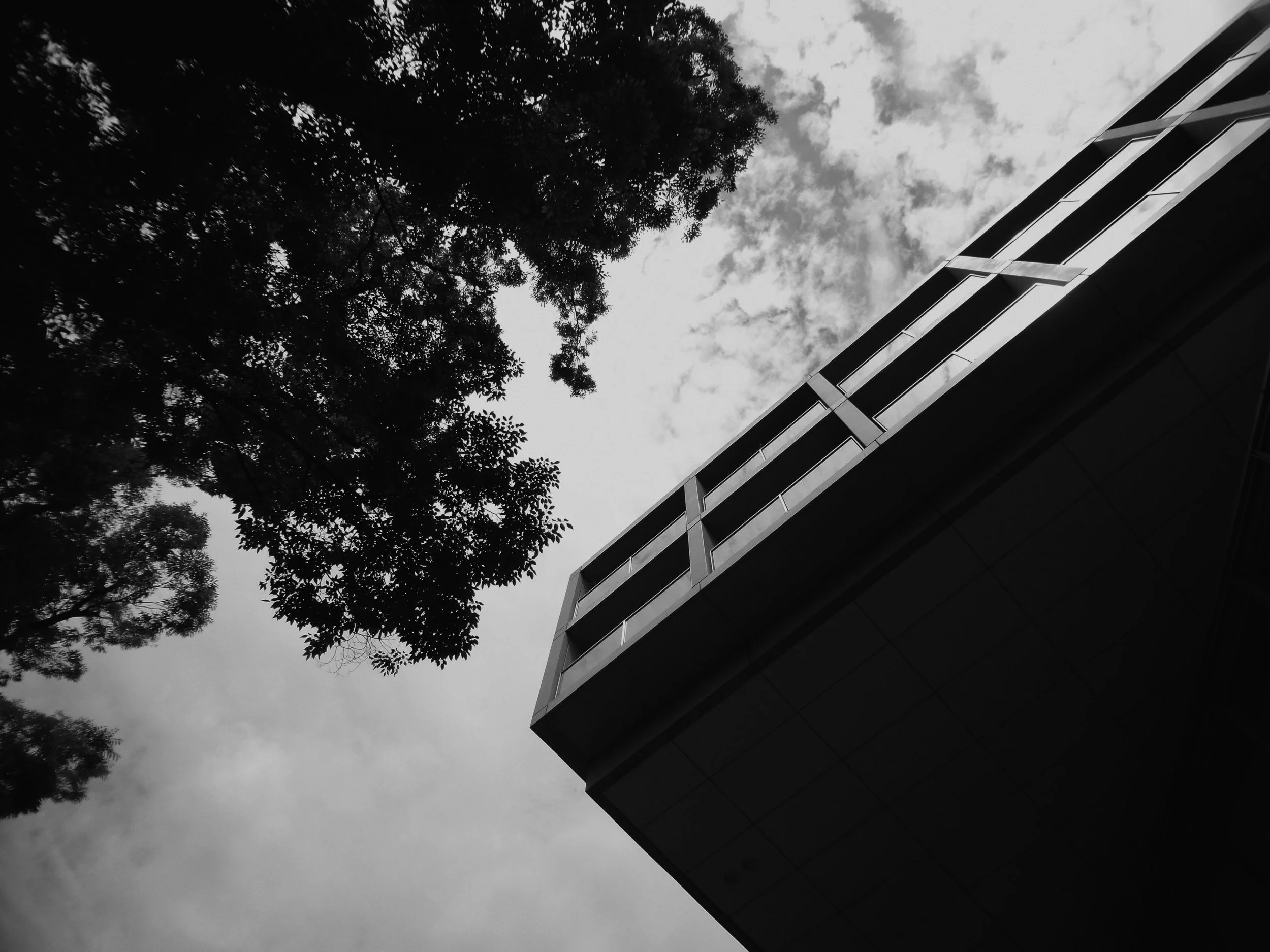 Architecture and branches
