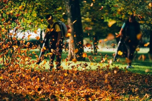 People playing in a park during autumn, with leaves falling from trees and covering the ground.