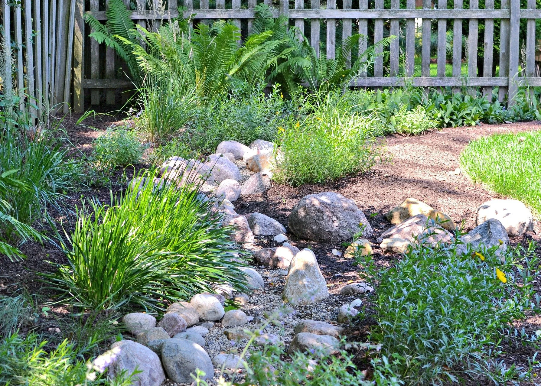 A landscaped backyard garden with green plants, ferns, tall grass, yellow flowers, and large rocks, bordered by a wooden fence.