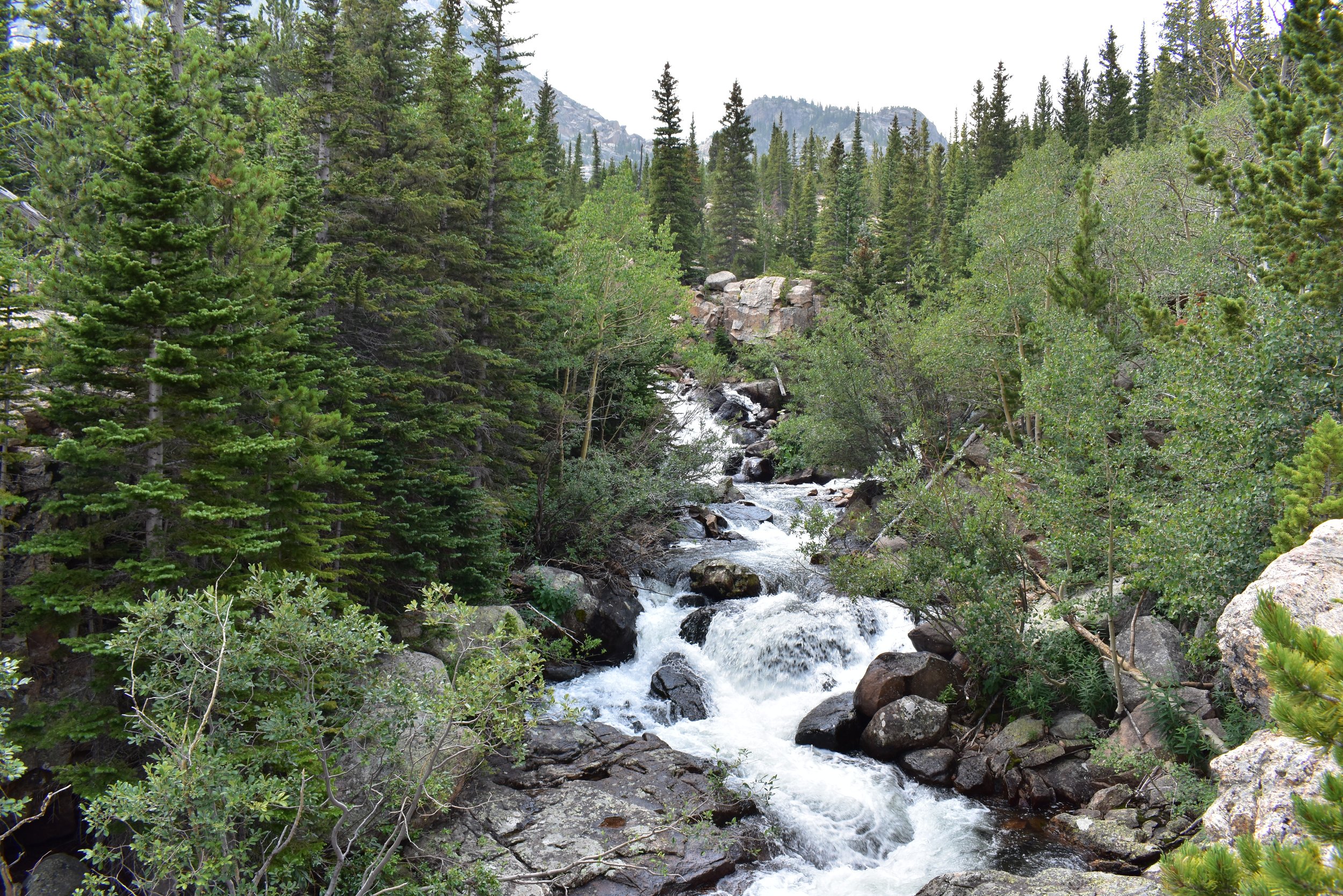 A Strategic Step Forward in 2026