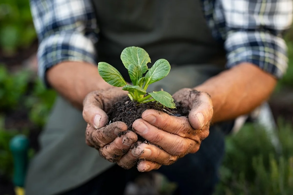 Tending the Ecosystem that Supports Your Career Growth