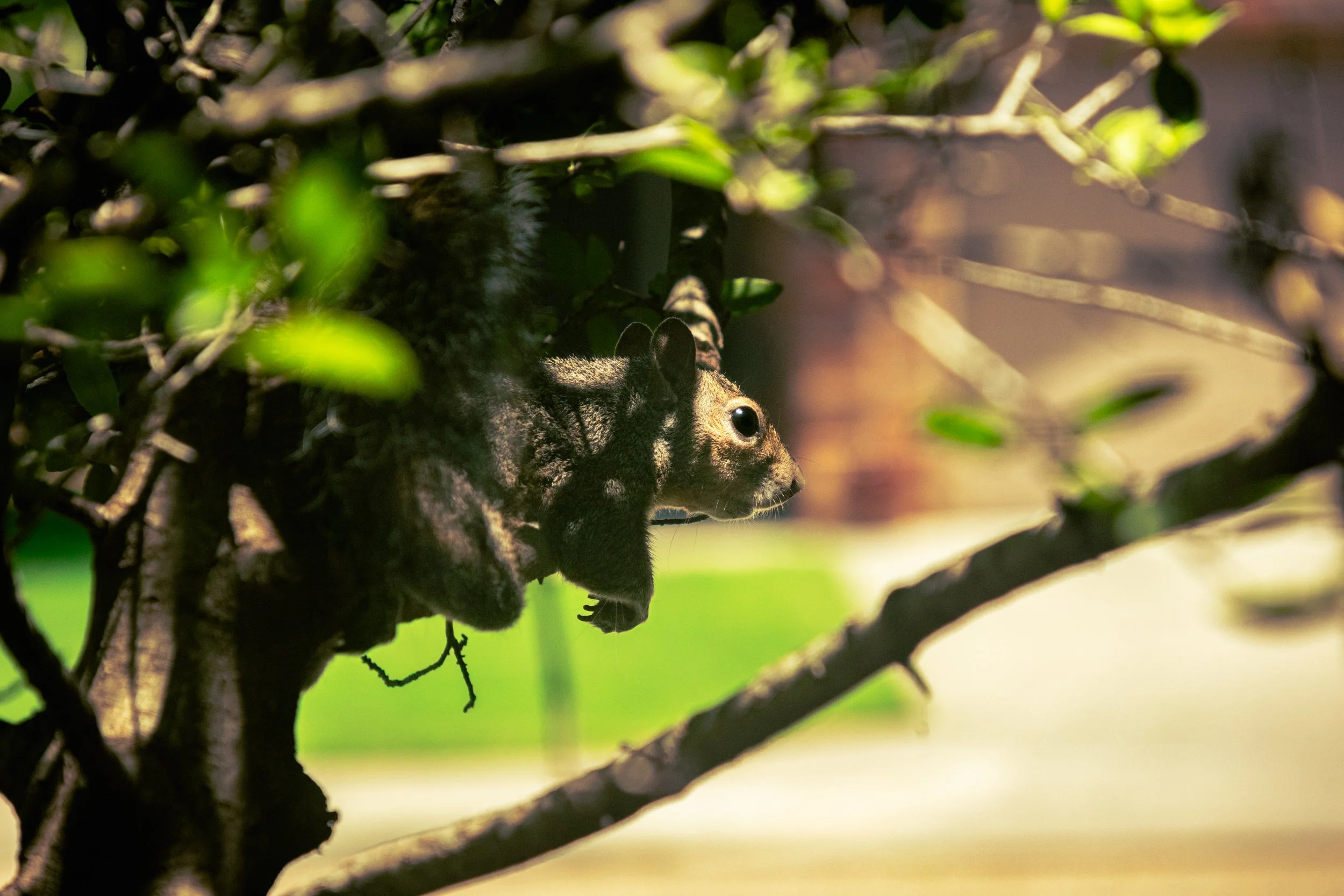 Cantero, Omar-5195.jpg