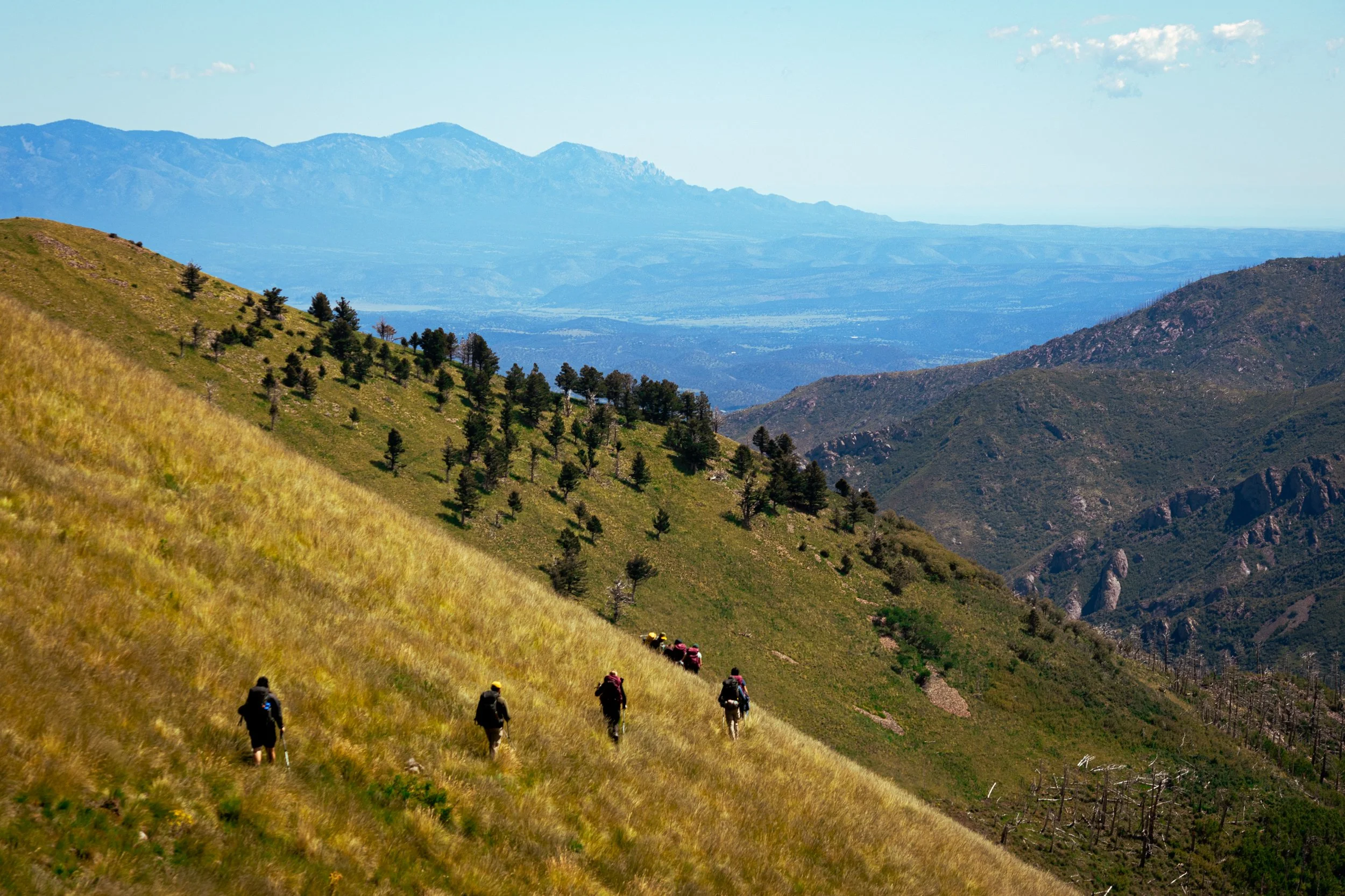 Cantero, Omar-8035.jpg