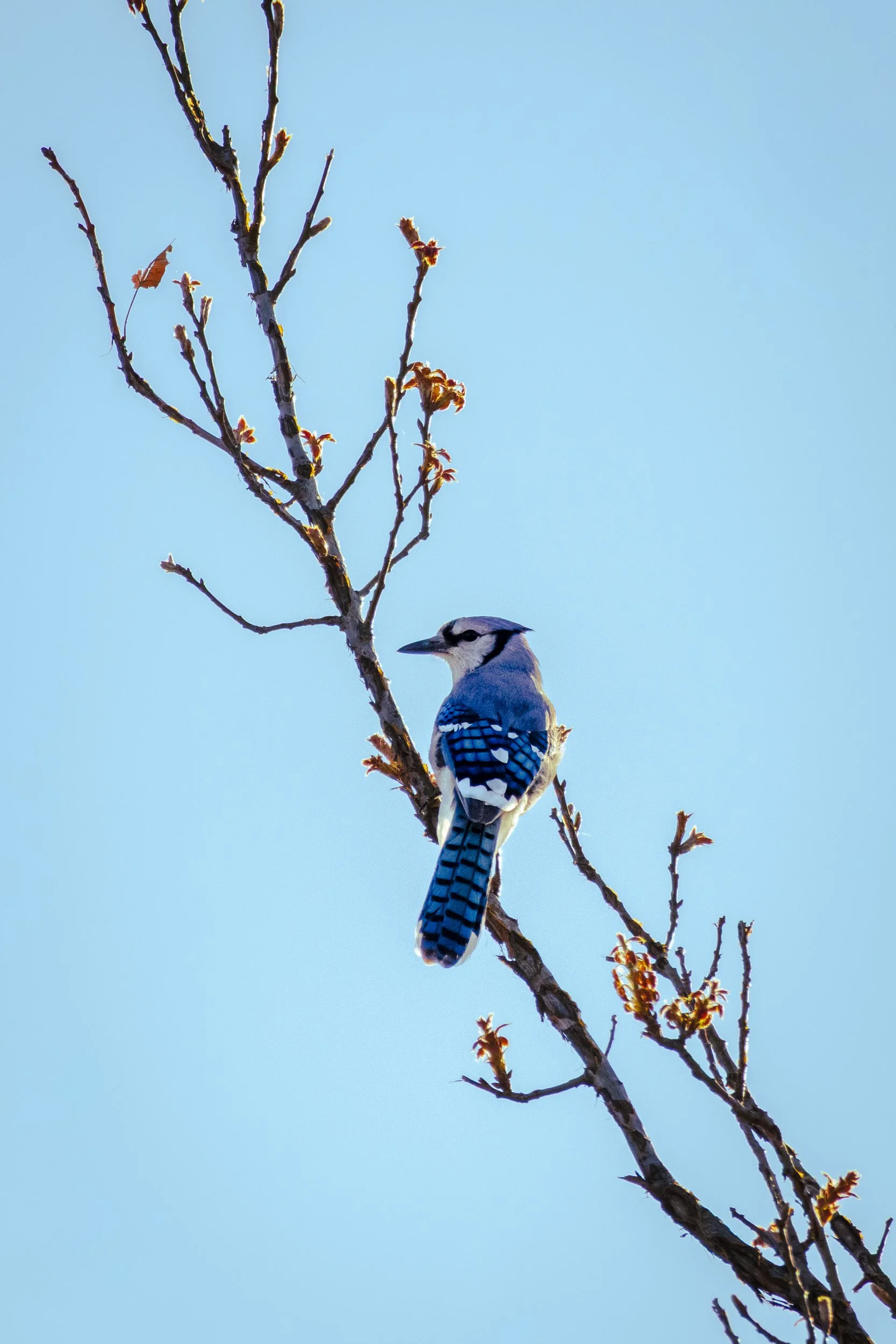 Cantero, Omar-4458.jpg