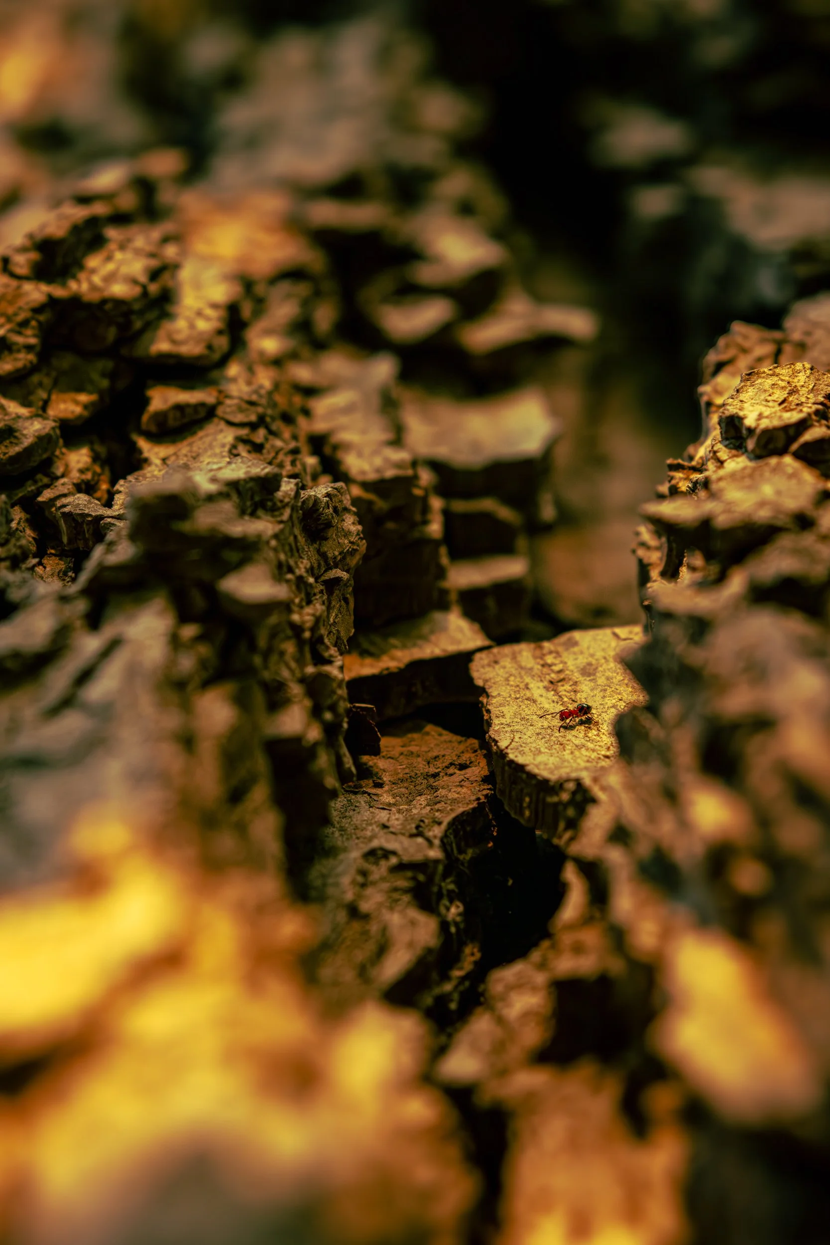 Cantero, Omar-2941.jpg