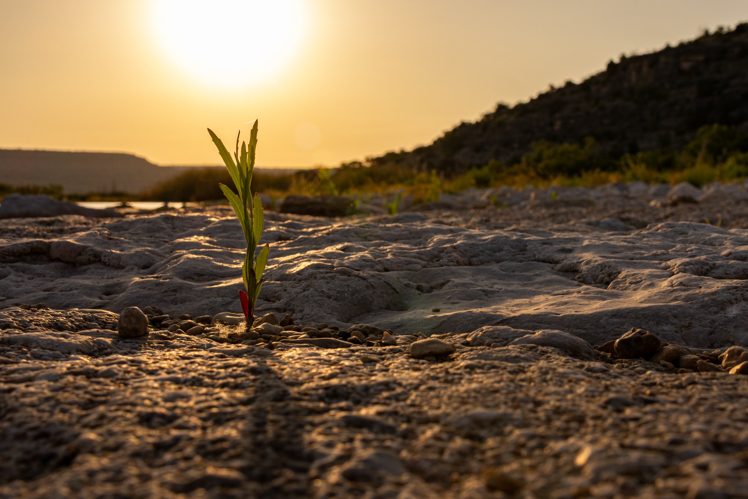 Cantero, Omar-1770.jpg