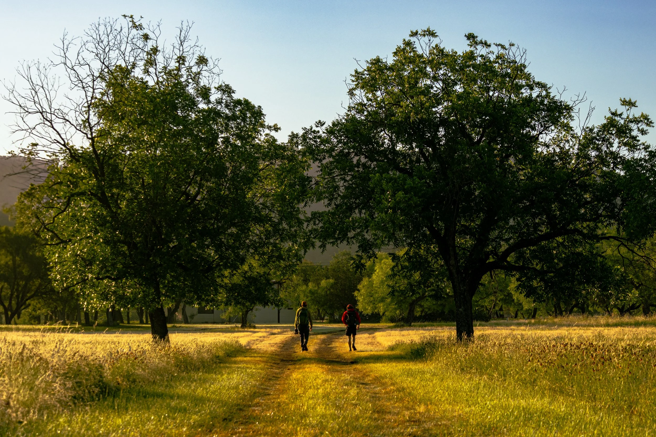 Cantero, Omar-2996.jpg