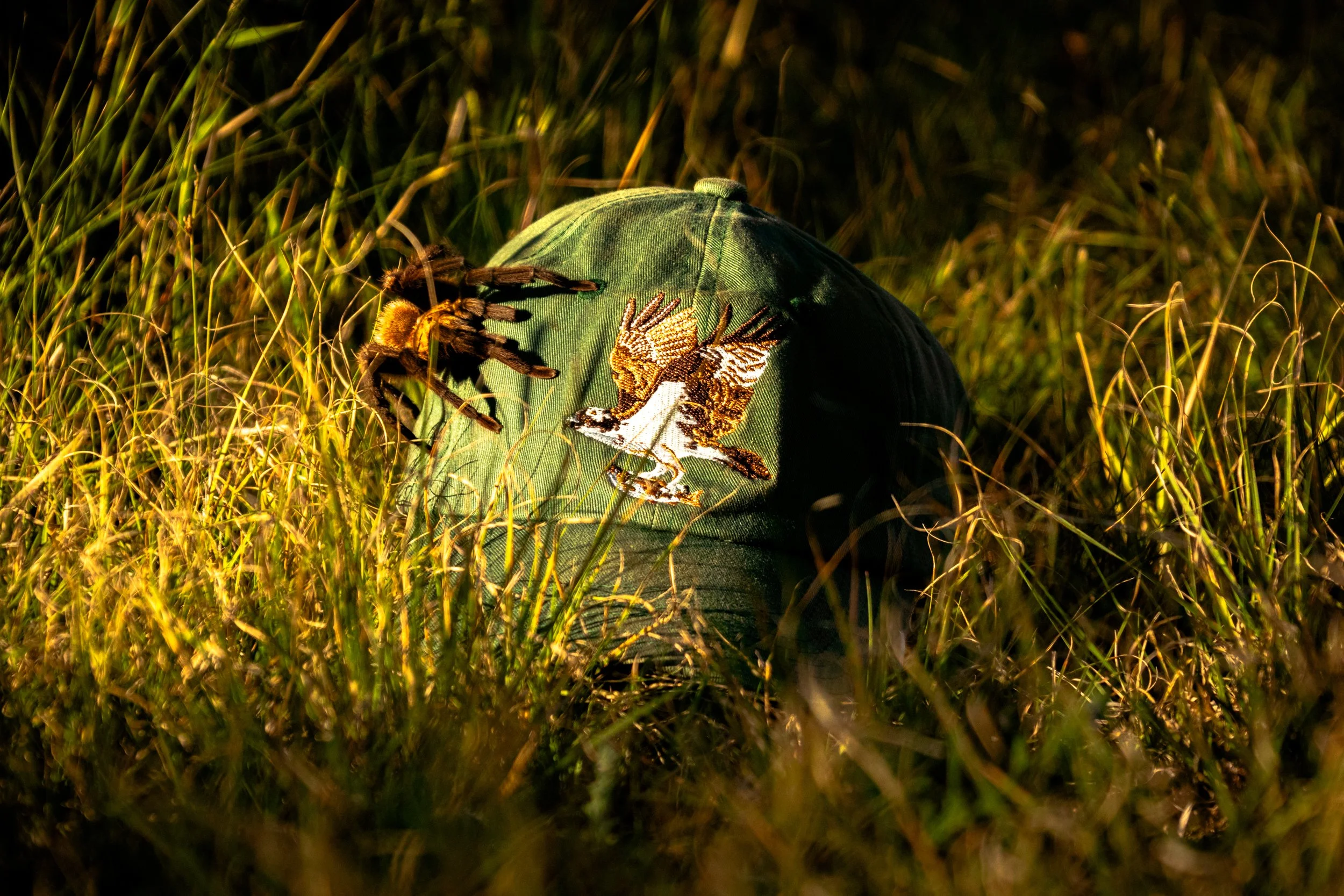 Cantero, Omar-9918.jpg