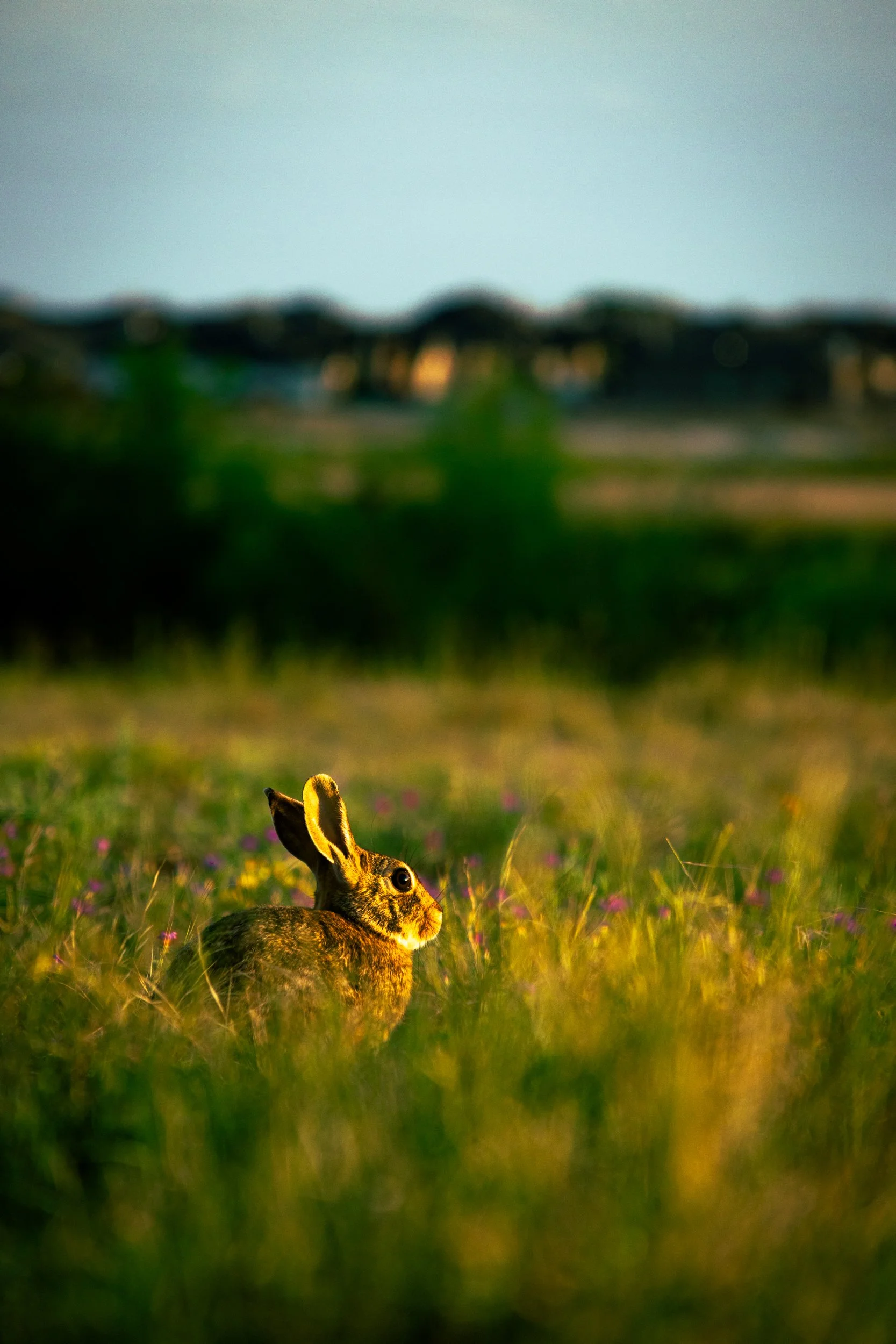 Cantero, Omar-5689.jpg