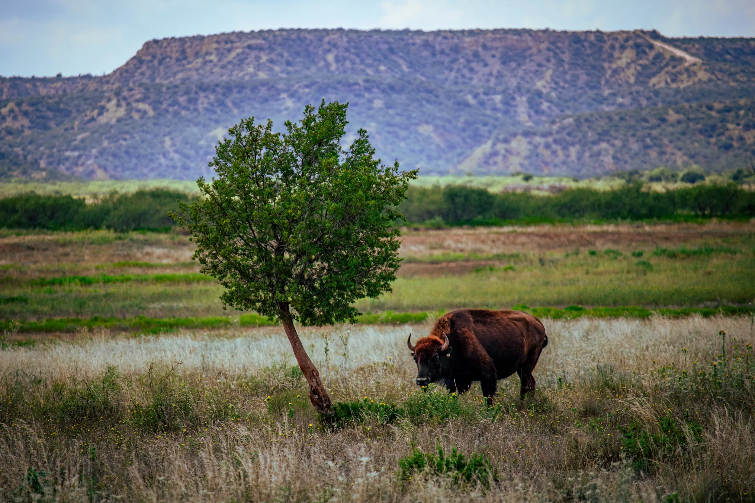 Cantero, Omar-7073.jpg