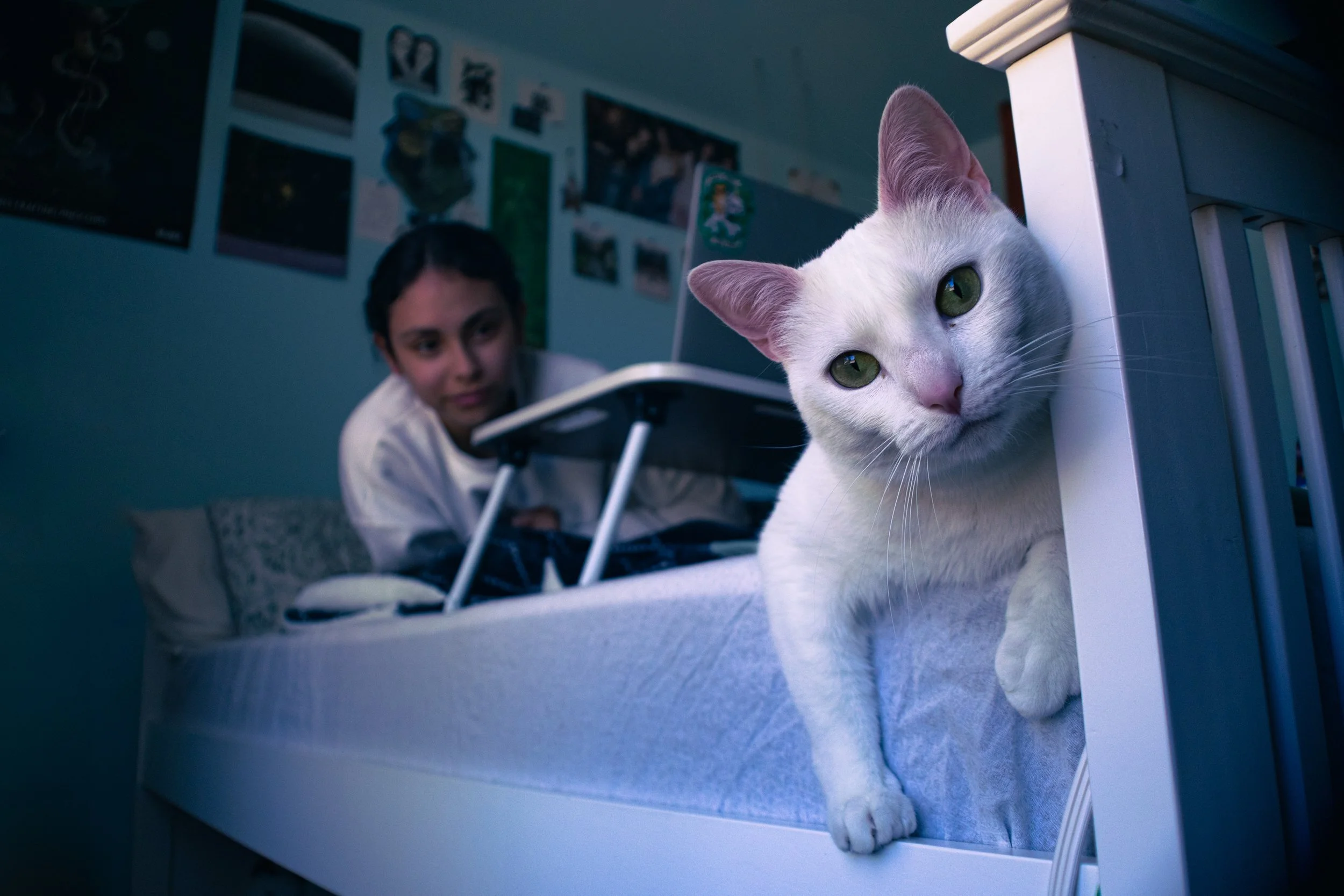 Cantero, Omar- Composition #5.jpg