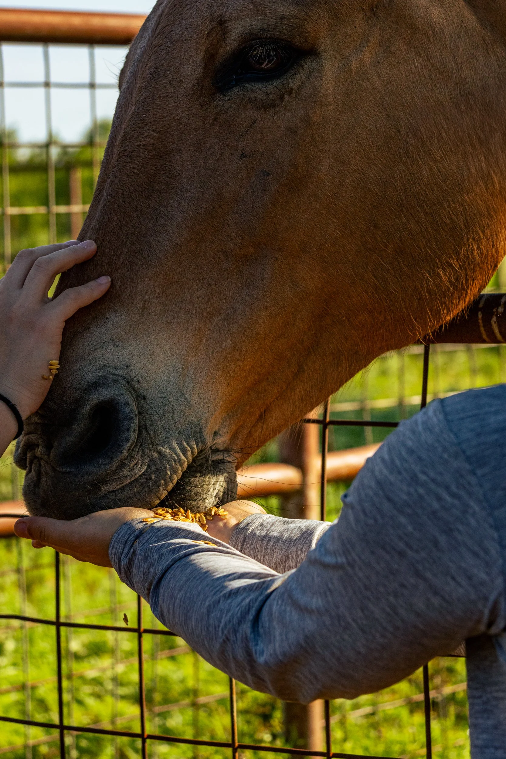 Cantero, Omar-4261.jpg