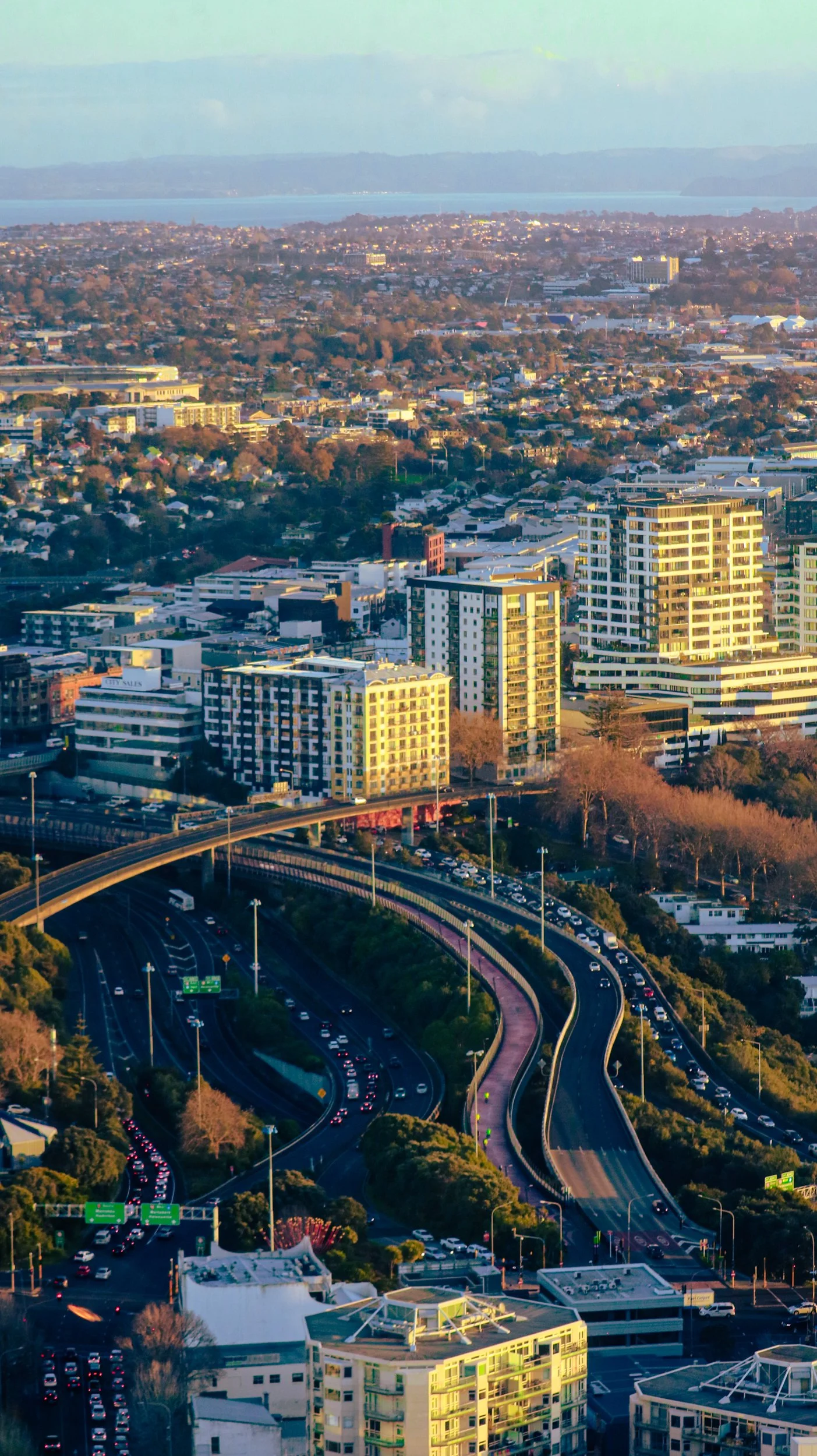 Cantero, Omar-6016.jpg