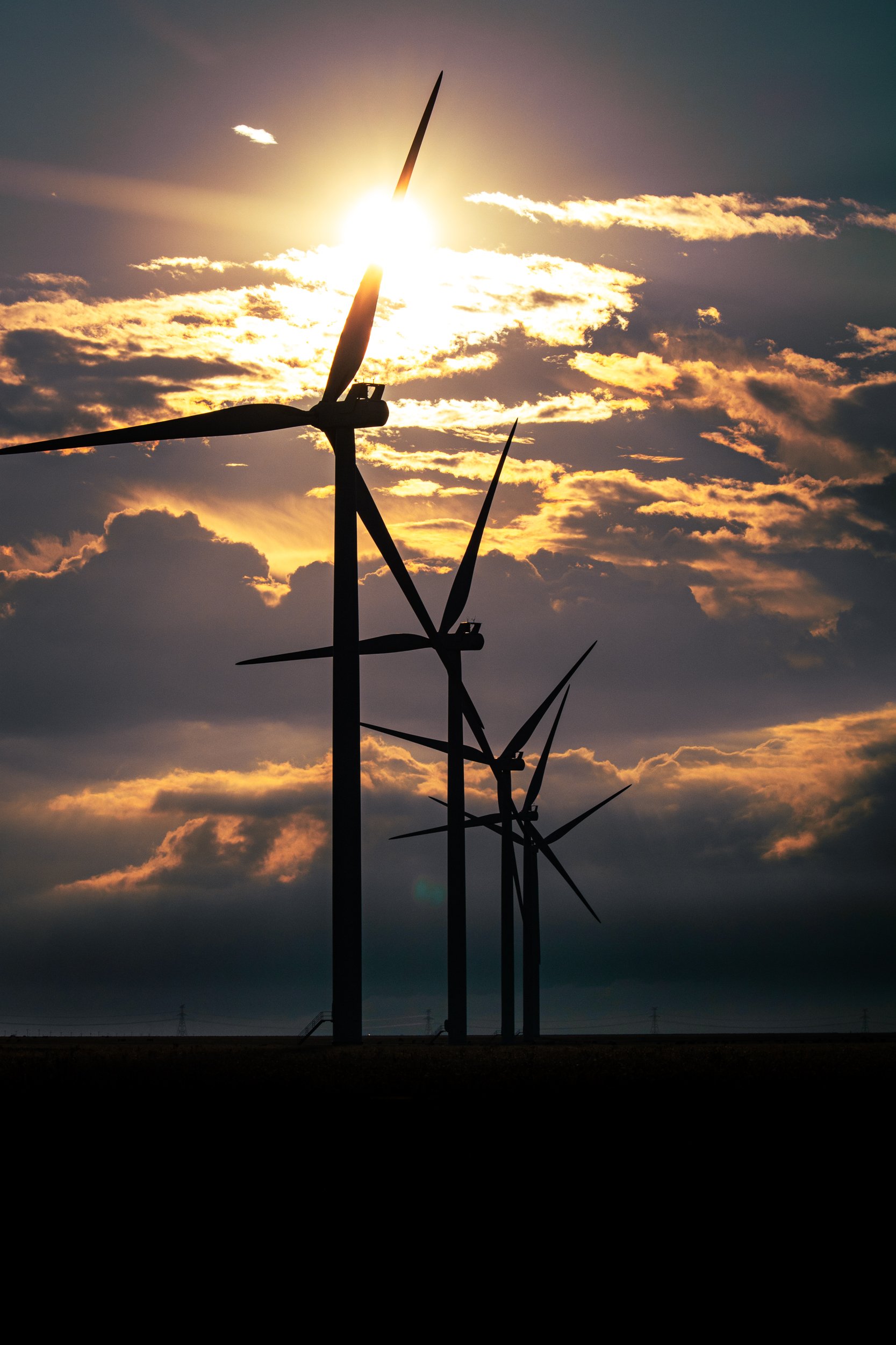 Cantero, Omar-6649.jpg