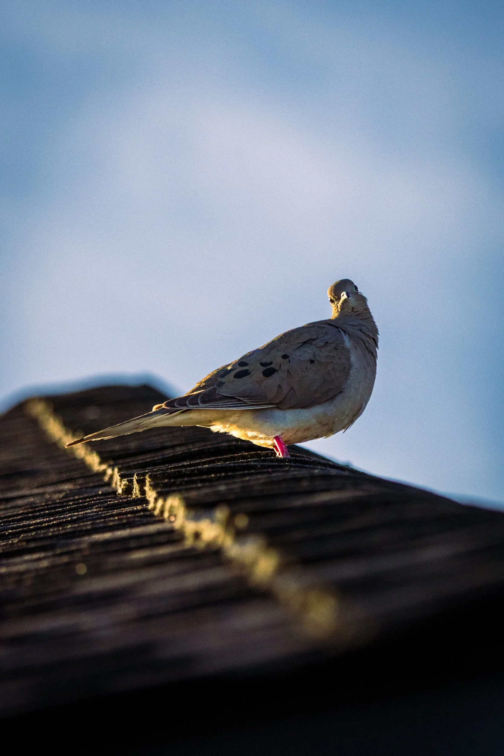 Cantero, Omar-4559.jpg