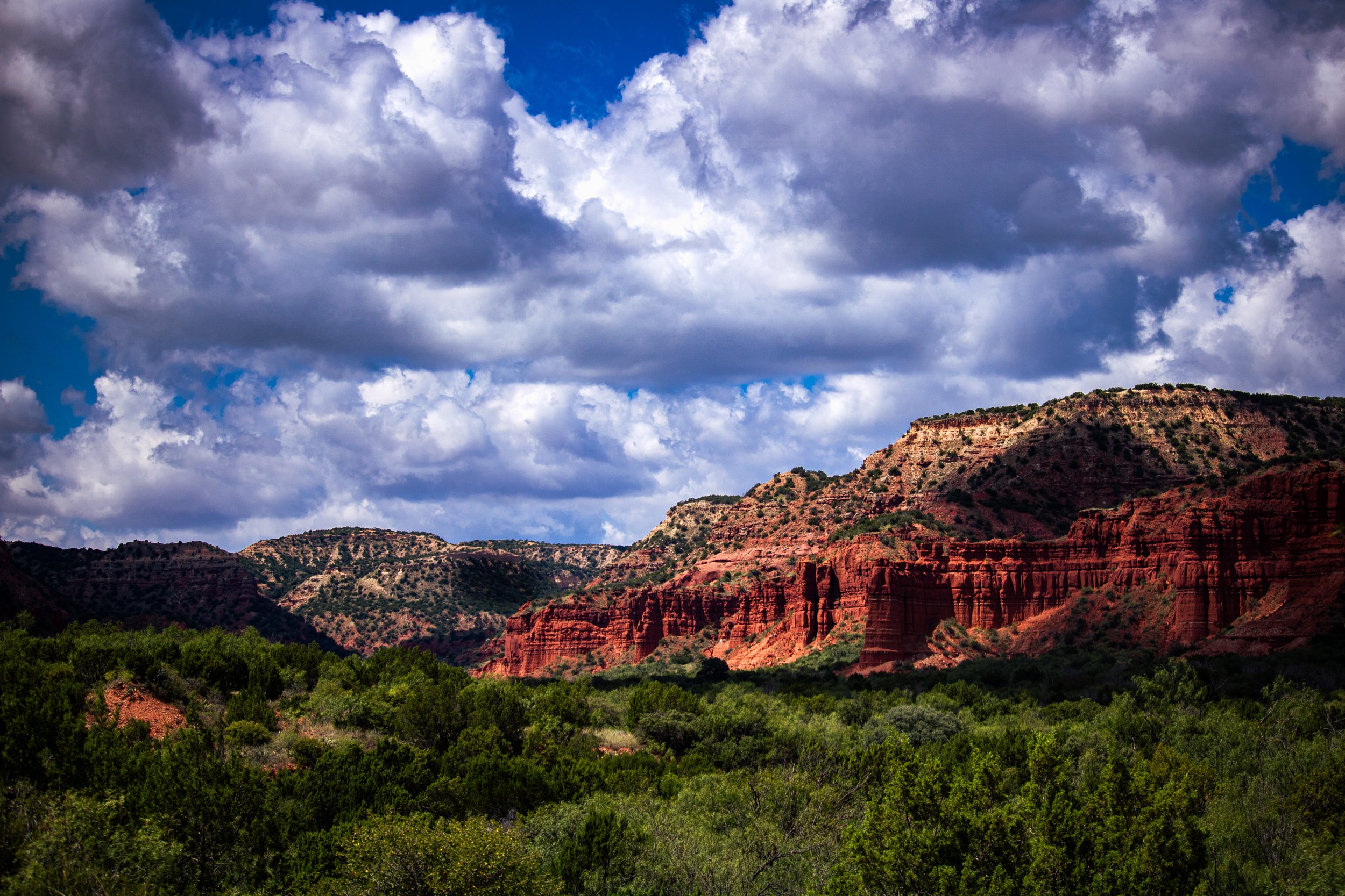 Cantero, Omar-6988.jpg