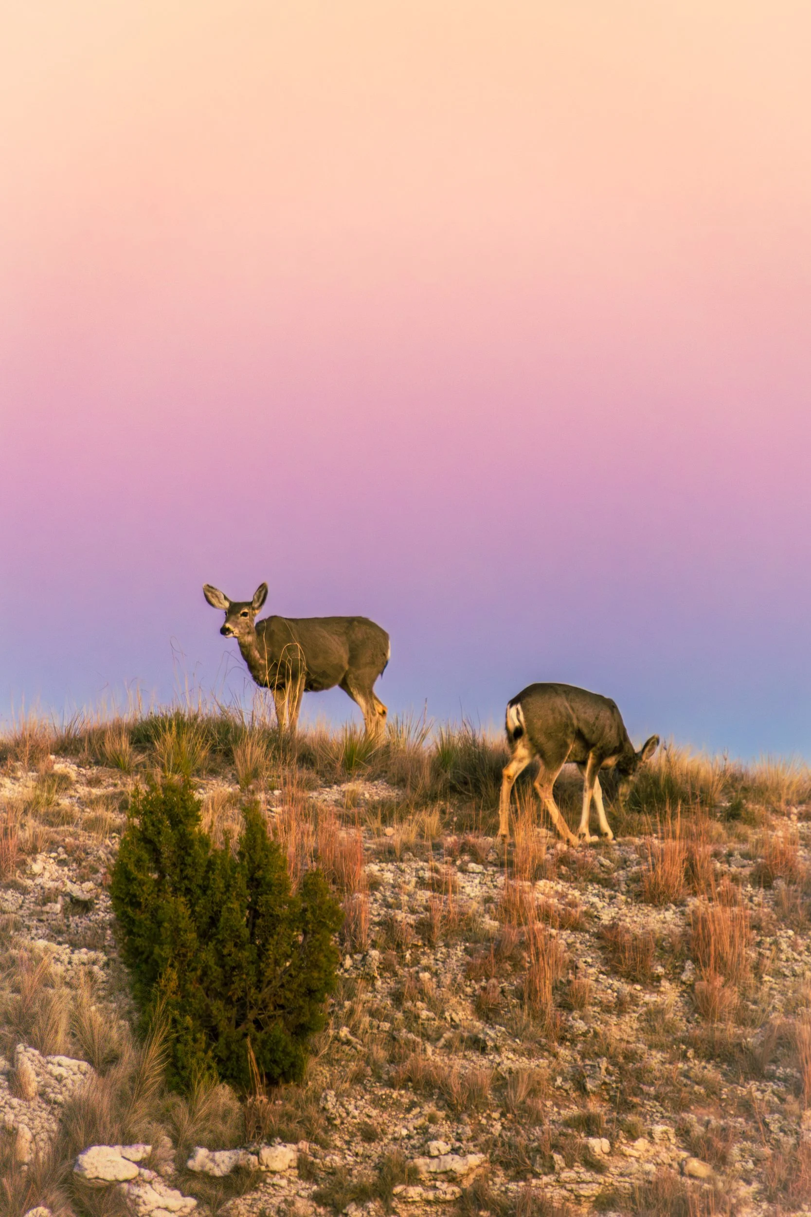 Cantero, Omar-1824.jpg