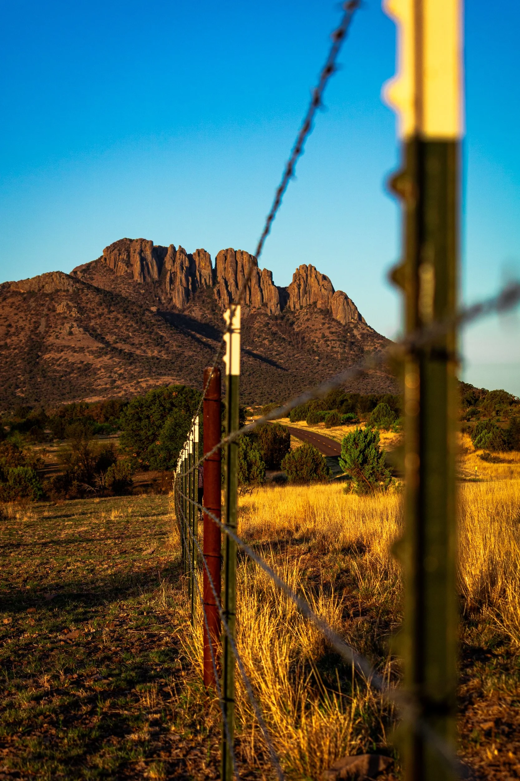 Cantero, Omar-9679.jpg