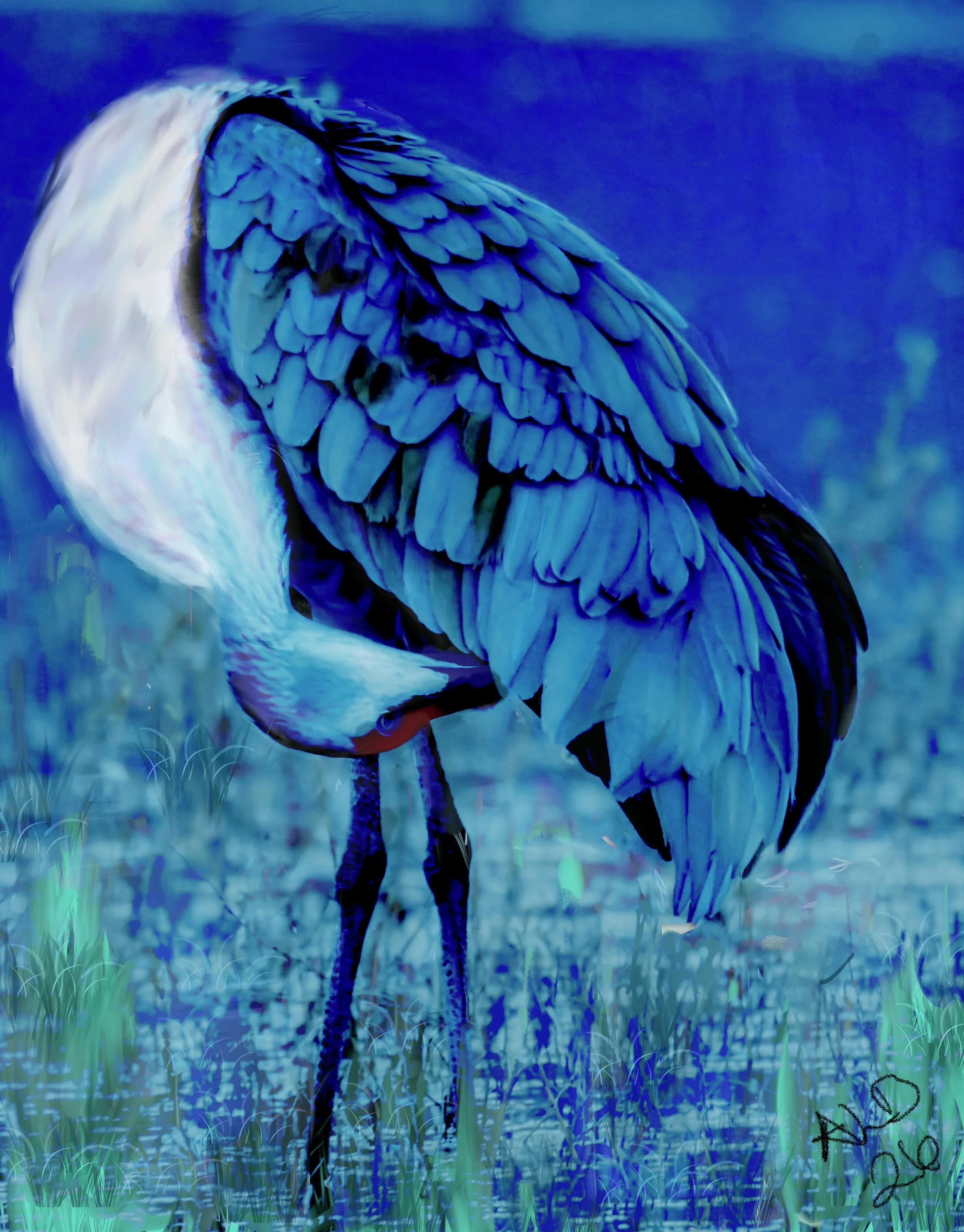 Choctaw Blue Heron canvas 20 x 16