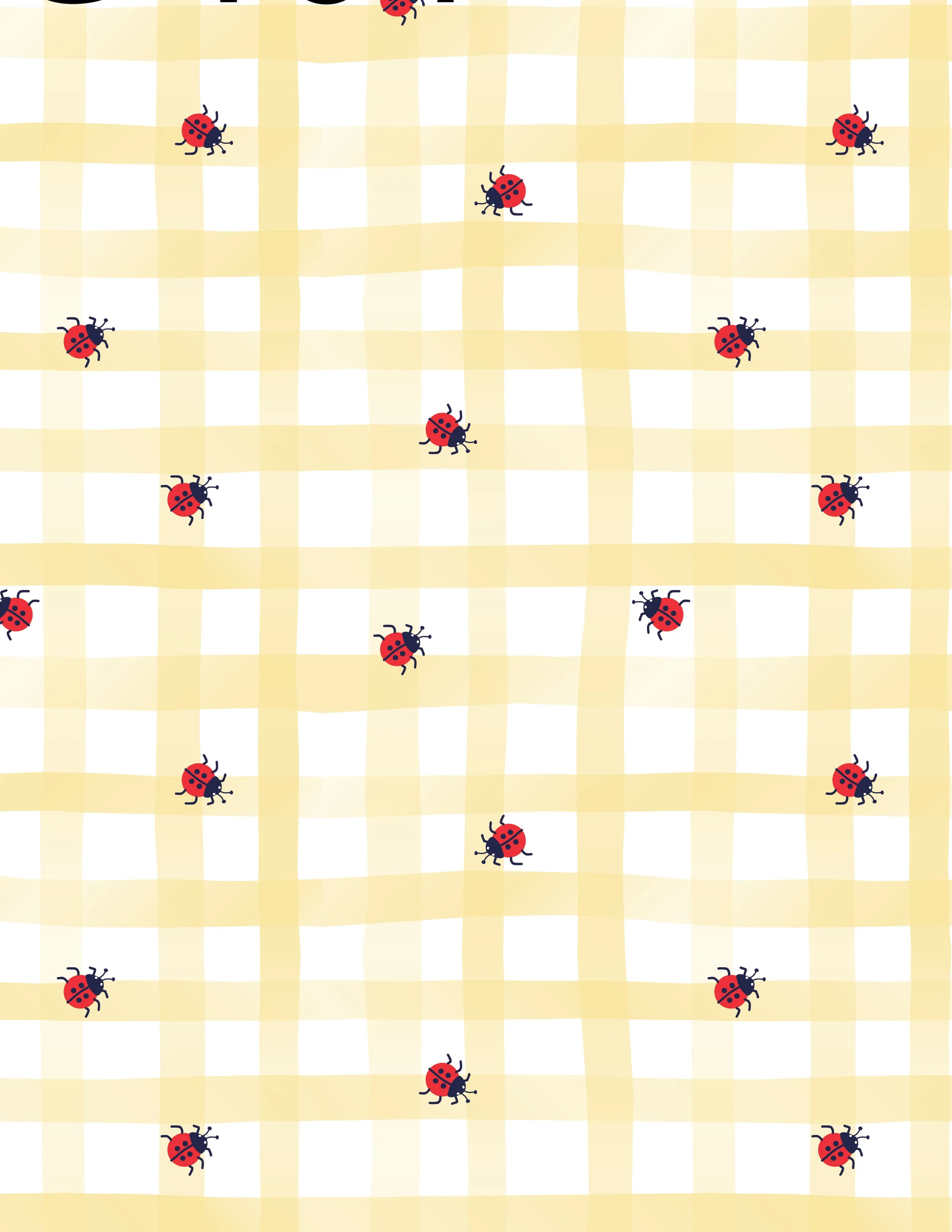 C-164 - GINGHAM LADYBUG-01.jpg