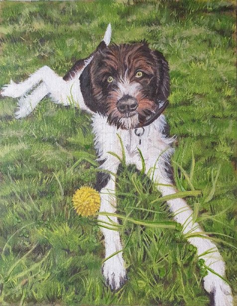'Beautiful Beau', 
oil on canvas panel.