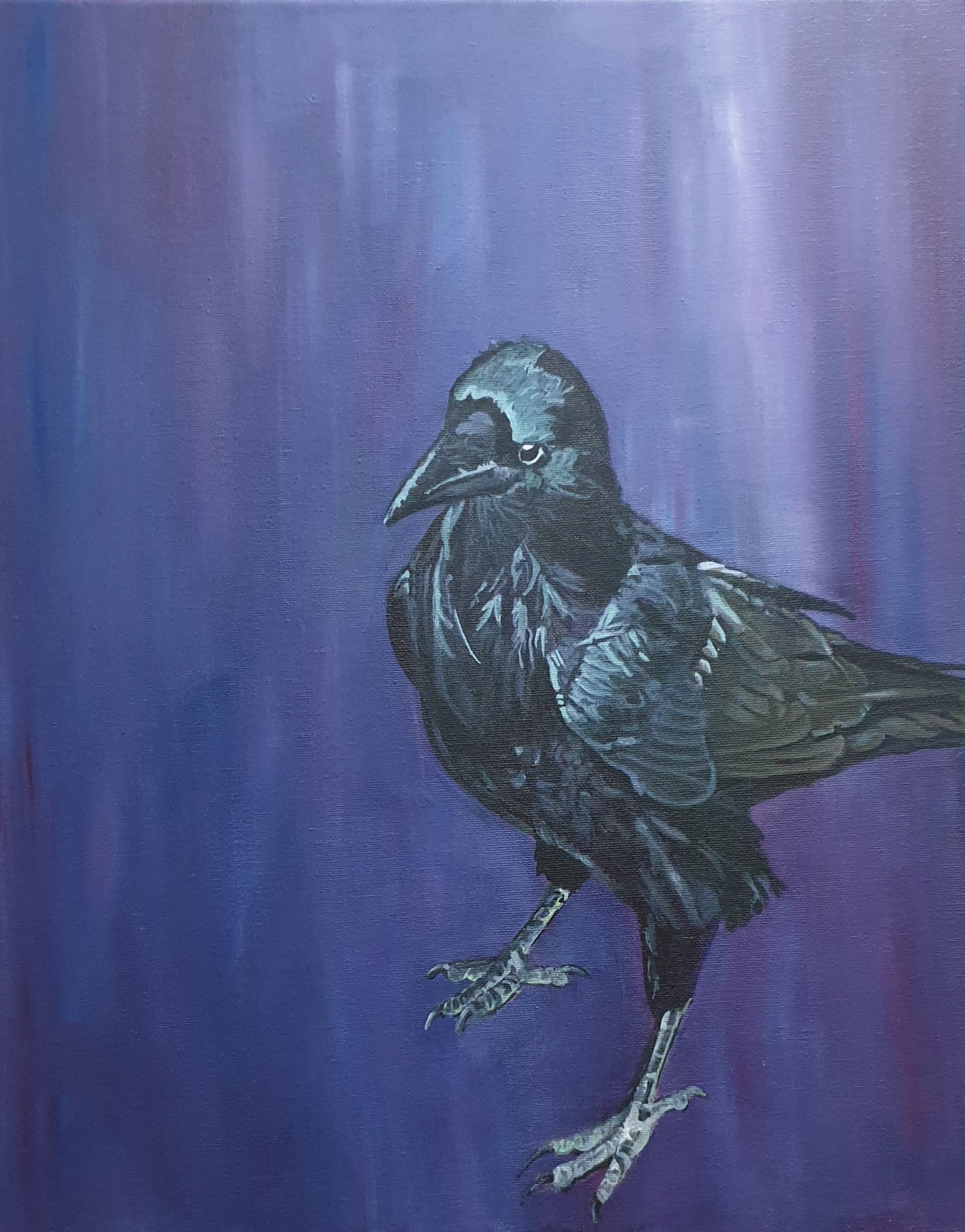 'Crow on Purple', 
51 x 41 cm, acrylic on box canvas.