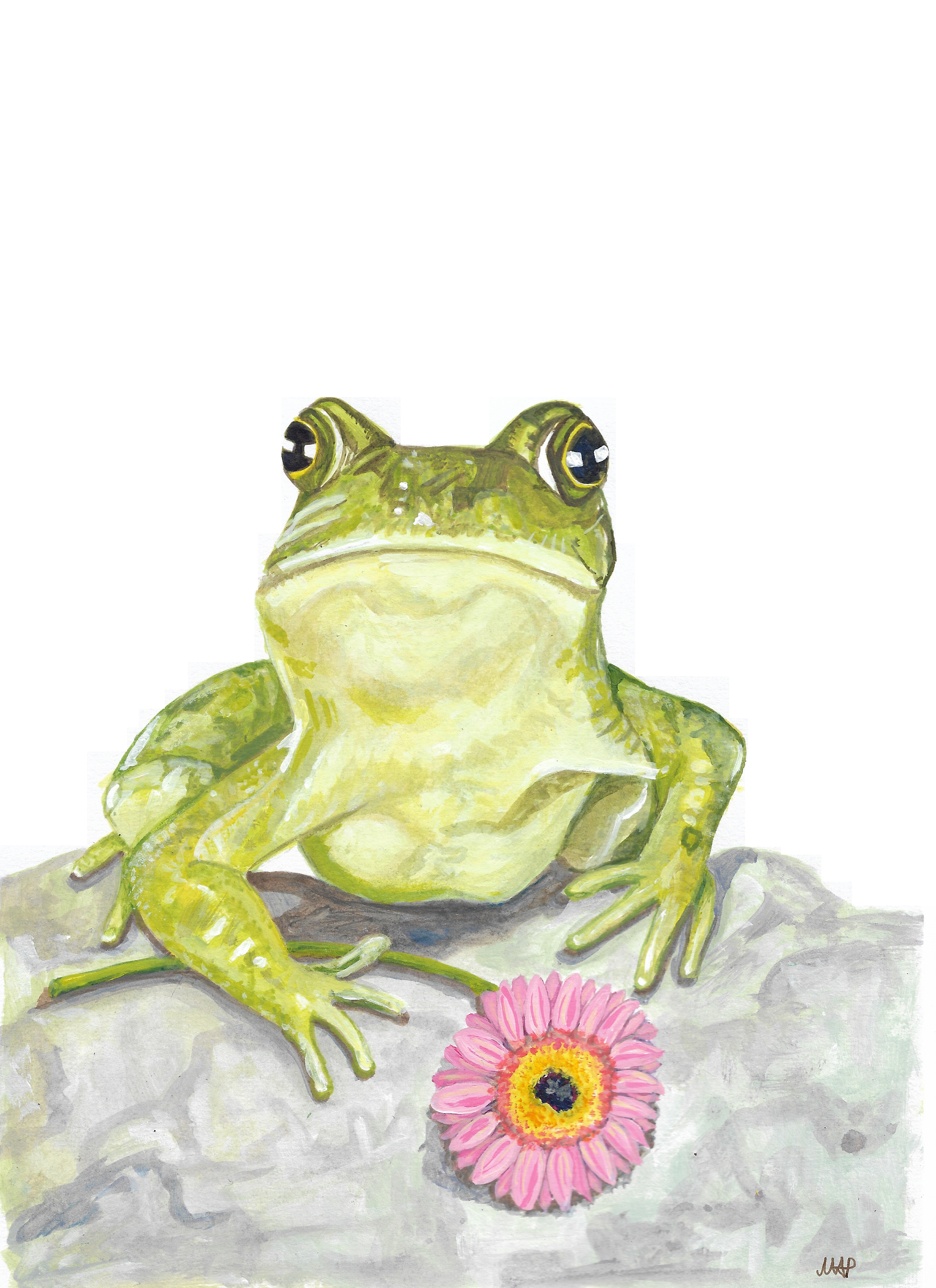 'Frog with Gerbera', 
acrylic on paper.