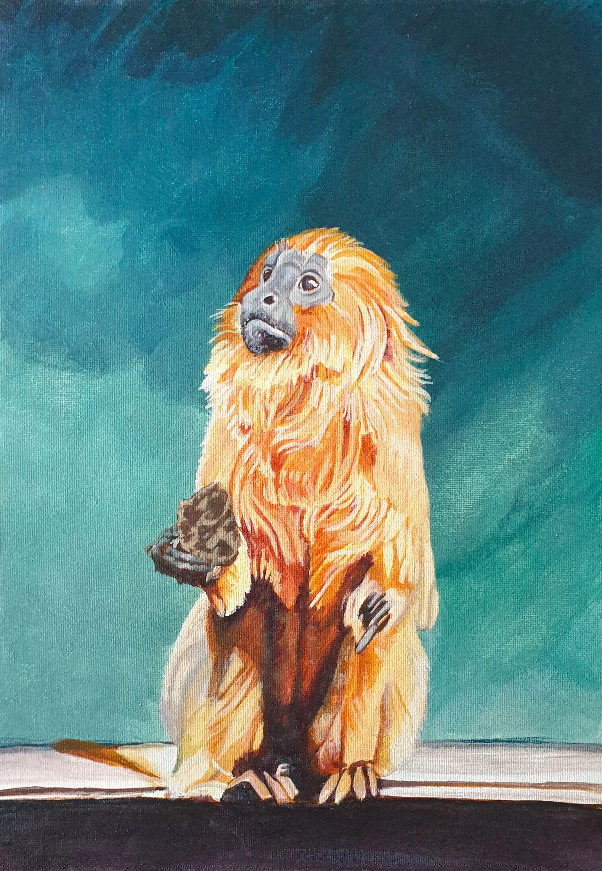 'A Picture of Hope - Golden Lion Tamarin', 
acrylic on canvas panel.